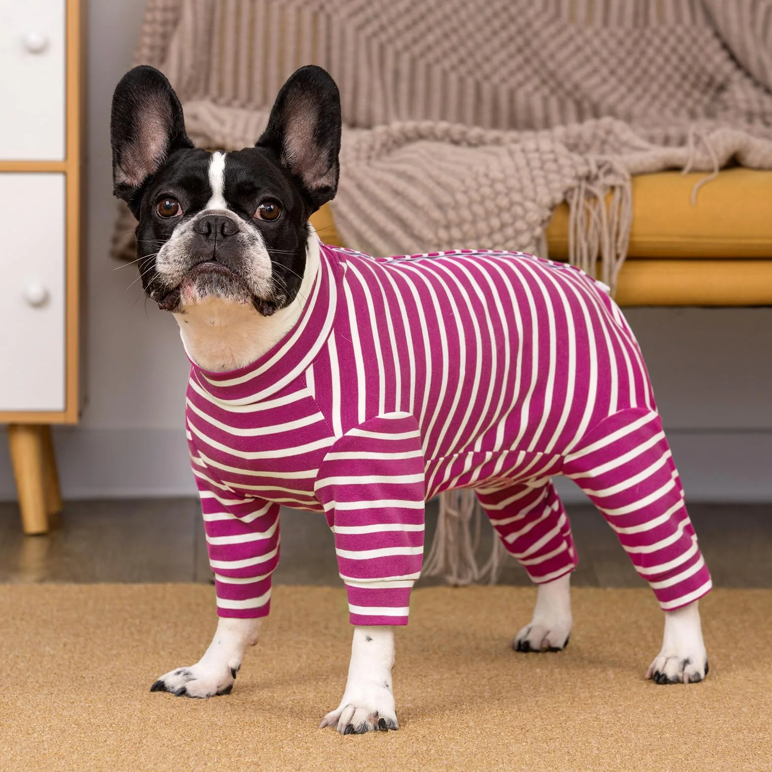 Pyjama Anti-fuite pour Chien à Manches Longues - Protection des Plaies Après Opération - Corps Chirurgical pour Chiot et Castration