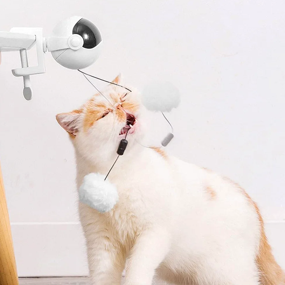 Jouet pour chat interactif GANDUNQIjouet pour chat | jouet de levage Yo-Yo | ballon rotatif électrique à levage automatique | jouets drôles pour animaux de compagnie | rose/blanc (sans batterie)-white