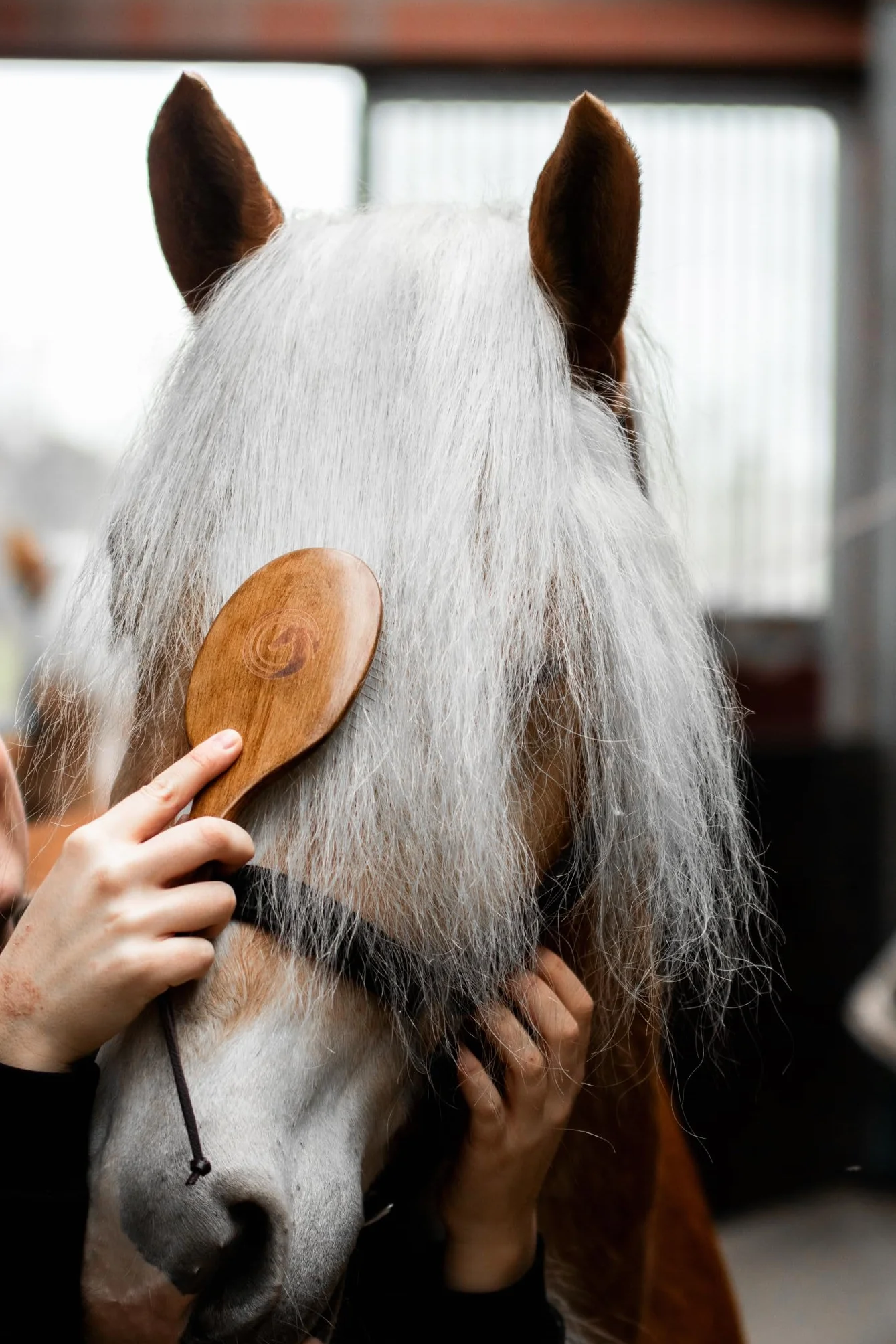 Brosse crinière et peigne queue Equimour pour cheval en bois et métal ergonomique démêler lisser soigner toilettage