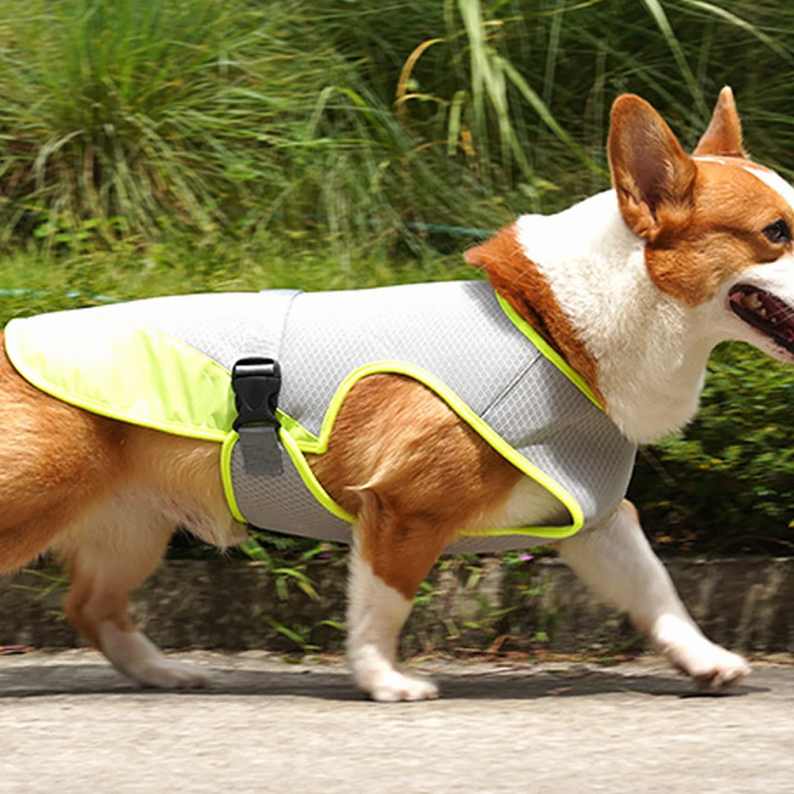 Gilet de Refroidissement pour Chien Rafraîchissant Manteau Protection Contre Le Soleil Taille L