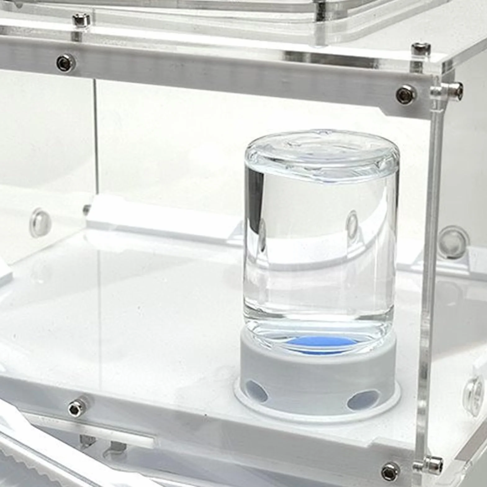 Transparent Distributeur pour Fourmis Abreuvoir pour Grillons Multifonction Abeilles Ferme Extérieur