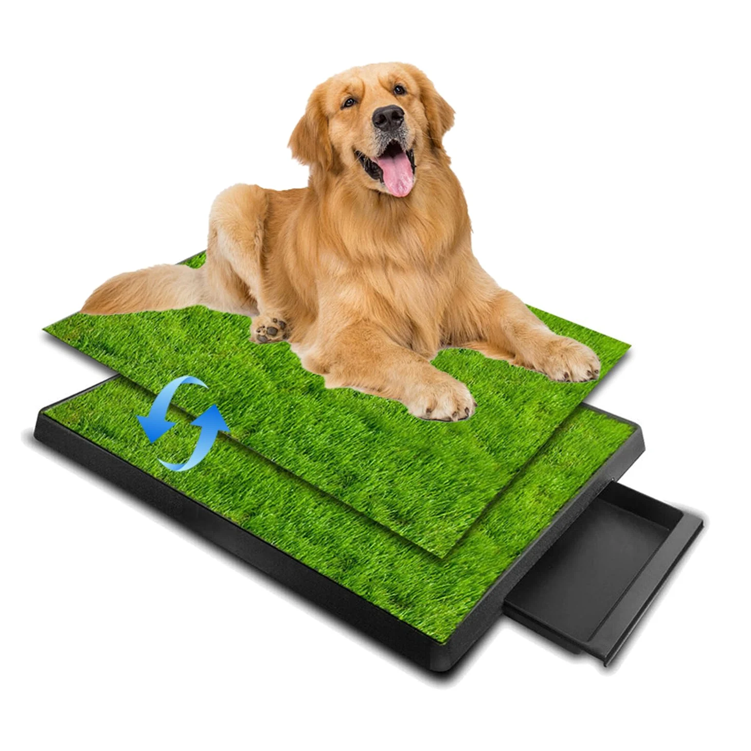 Toilette pour Chien,Tapis d'apprentissage De La Propreté avec Séparateur d'Urine,Deux Tapis de Paille pour Chien avec Grand Plateau (64 x 51cm),avec Plateau Extractible,pour Le Dressage des Chiens