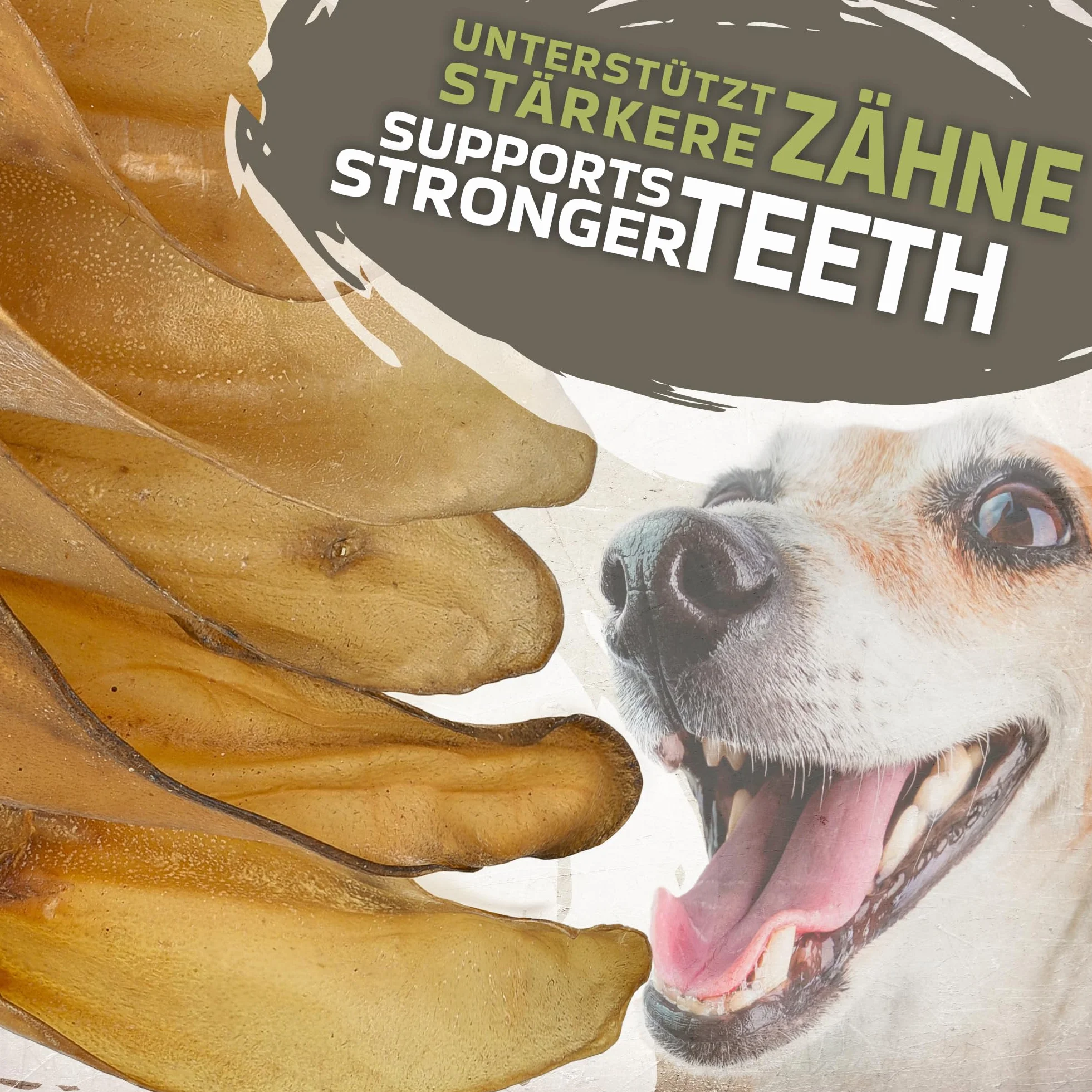 Oreilles de boeuf naturelles pour chien 10 pièces 700 g collation longue mastication soins dentaires sans additifs