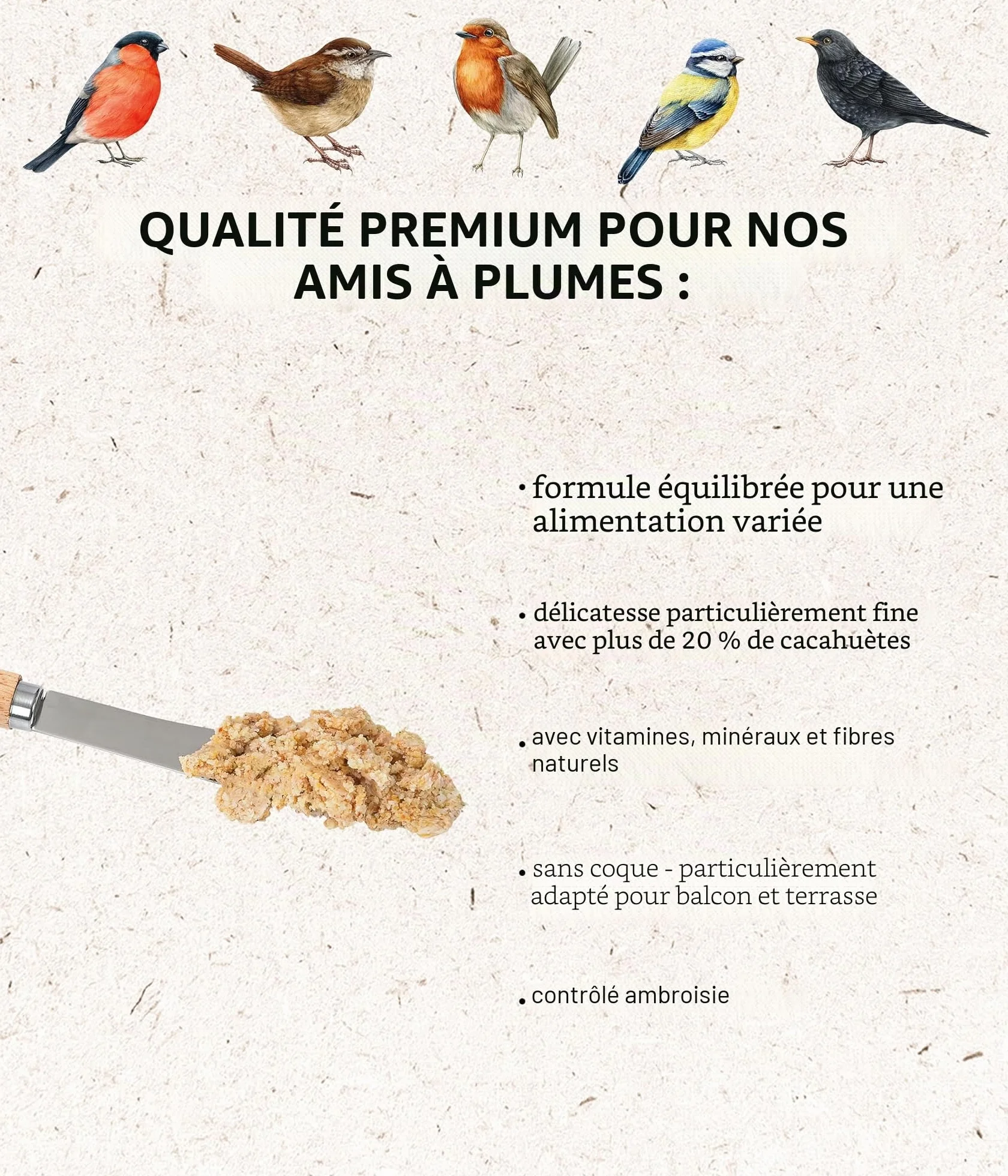 Dehner Natura Premium Nourriture pour Oiseaux Sauvages, Beurre de cacahuète en Seau, 2 kg