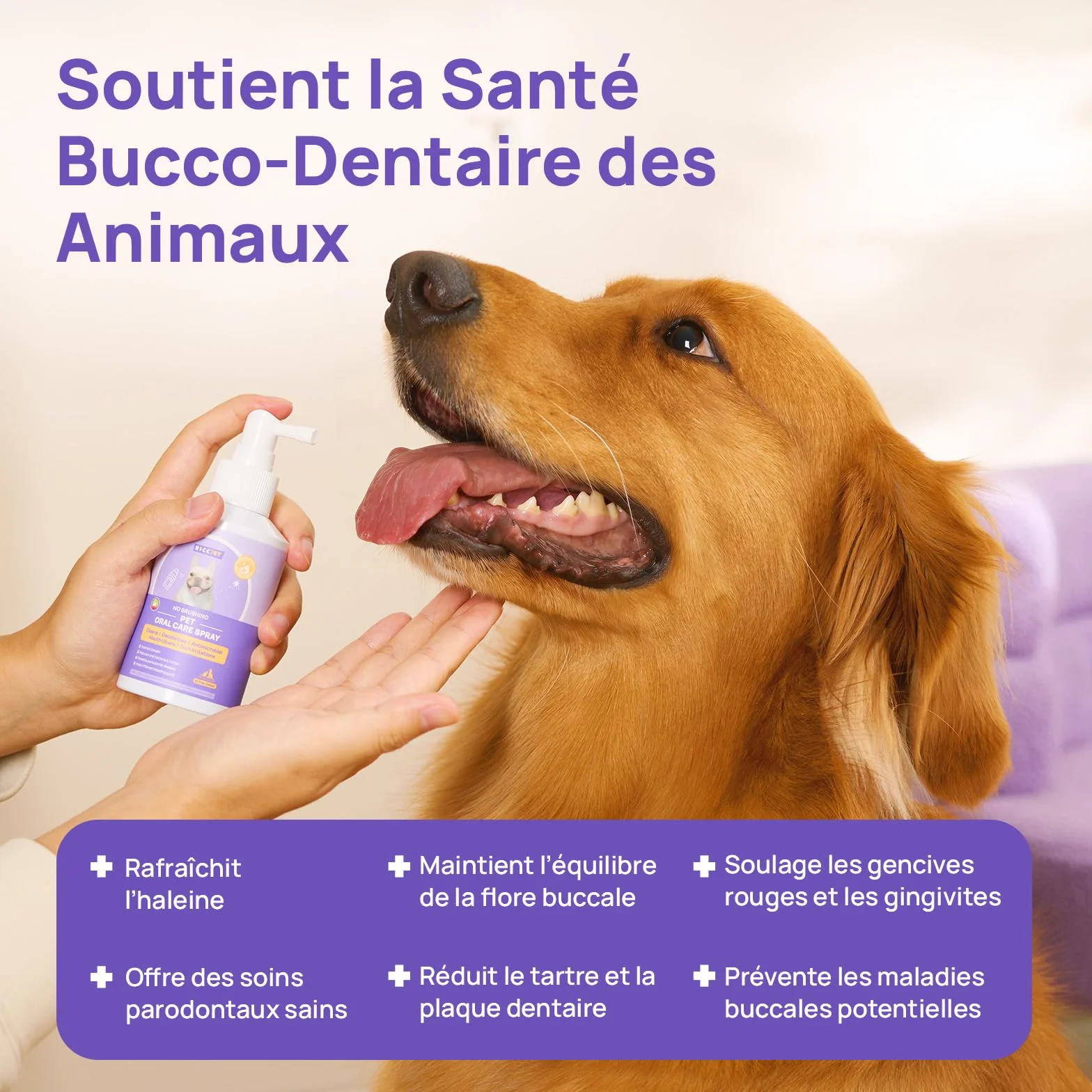 HICC PET Spray buccal pour Chiens & Chats 150 ML Contre la Mauvaise haleine sans brossage
