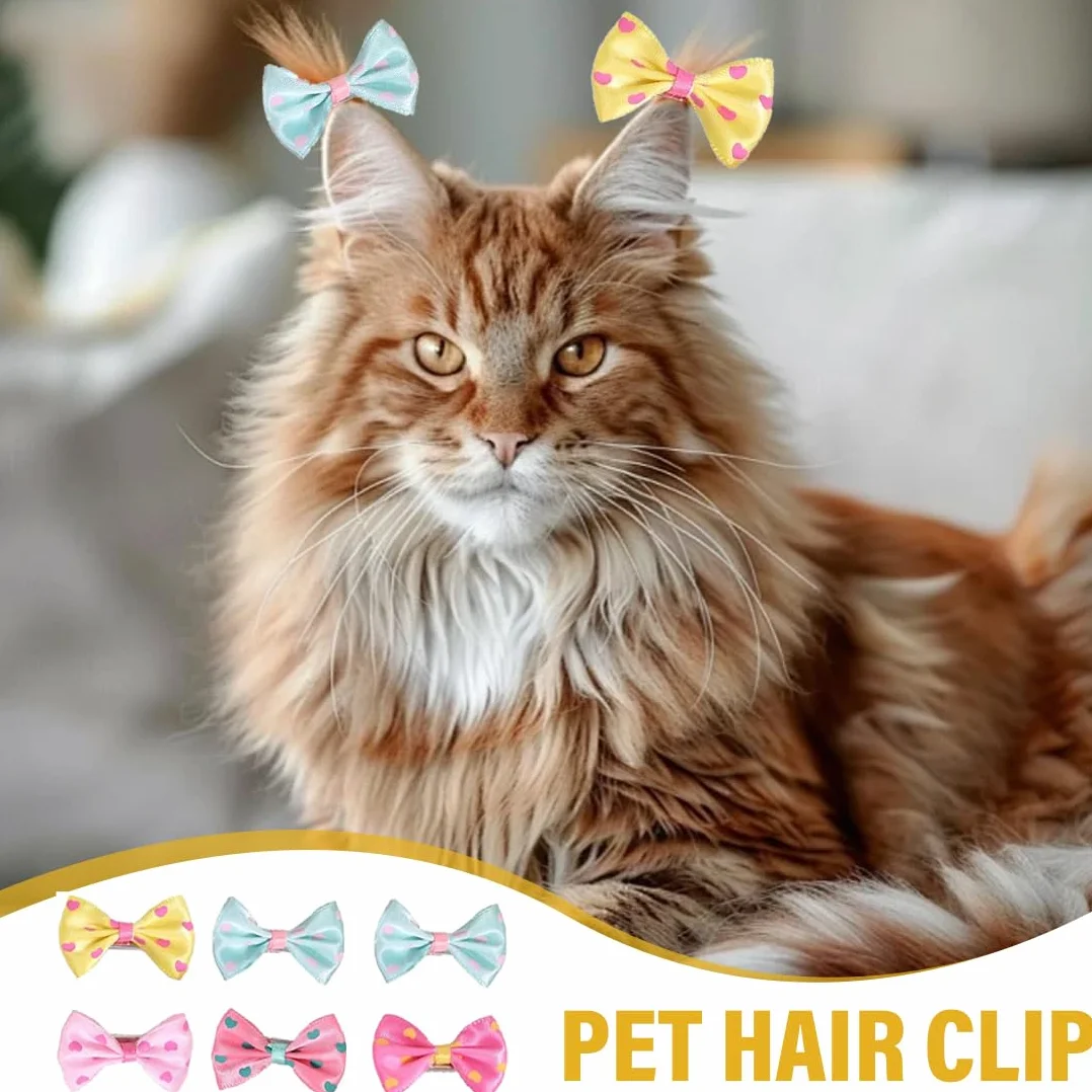 Barrettes pour Chiens 6 Pièces, Accessoires de Toilettage Bowknot pour Petit Chien, Chat