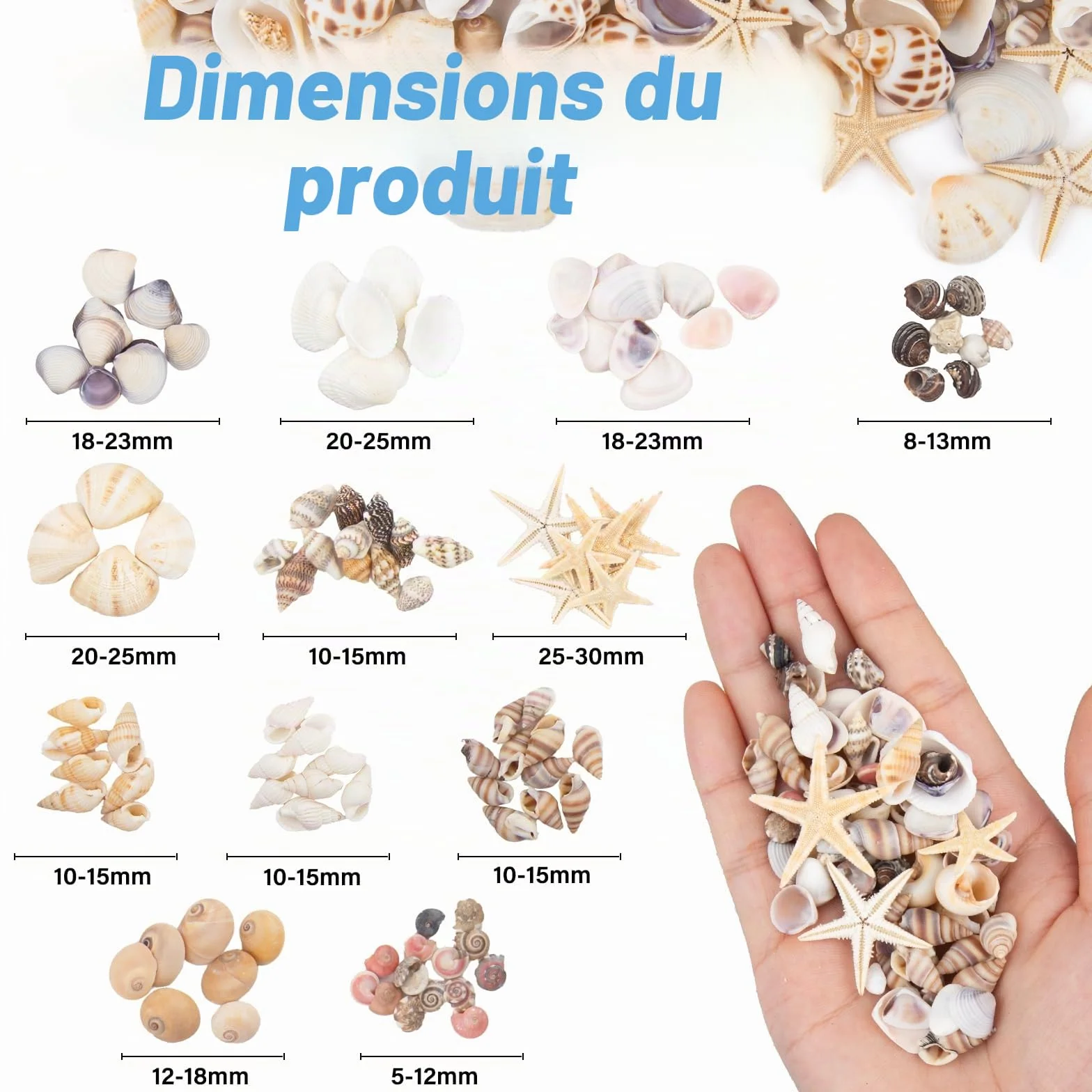 Mini Coquillages Mélangés 1000pcs 20 Variétés Naturels pour Travaux Manuels Bricolage