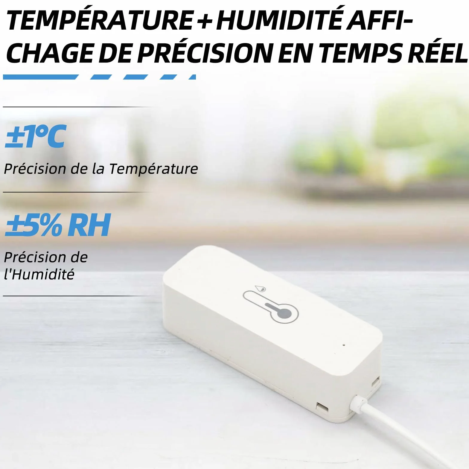 Thermomètre hygromètre WiFi avec capteur externe intelligent pour intérieur extérieur alarme application surveillance à distance compatible Alexa congélateur