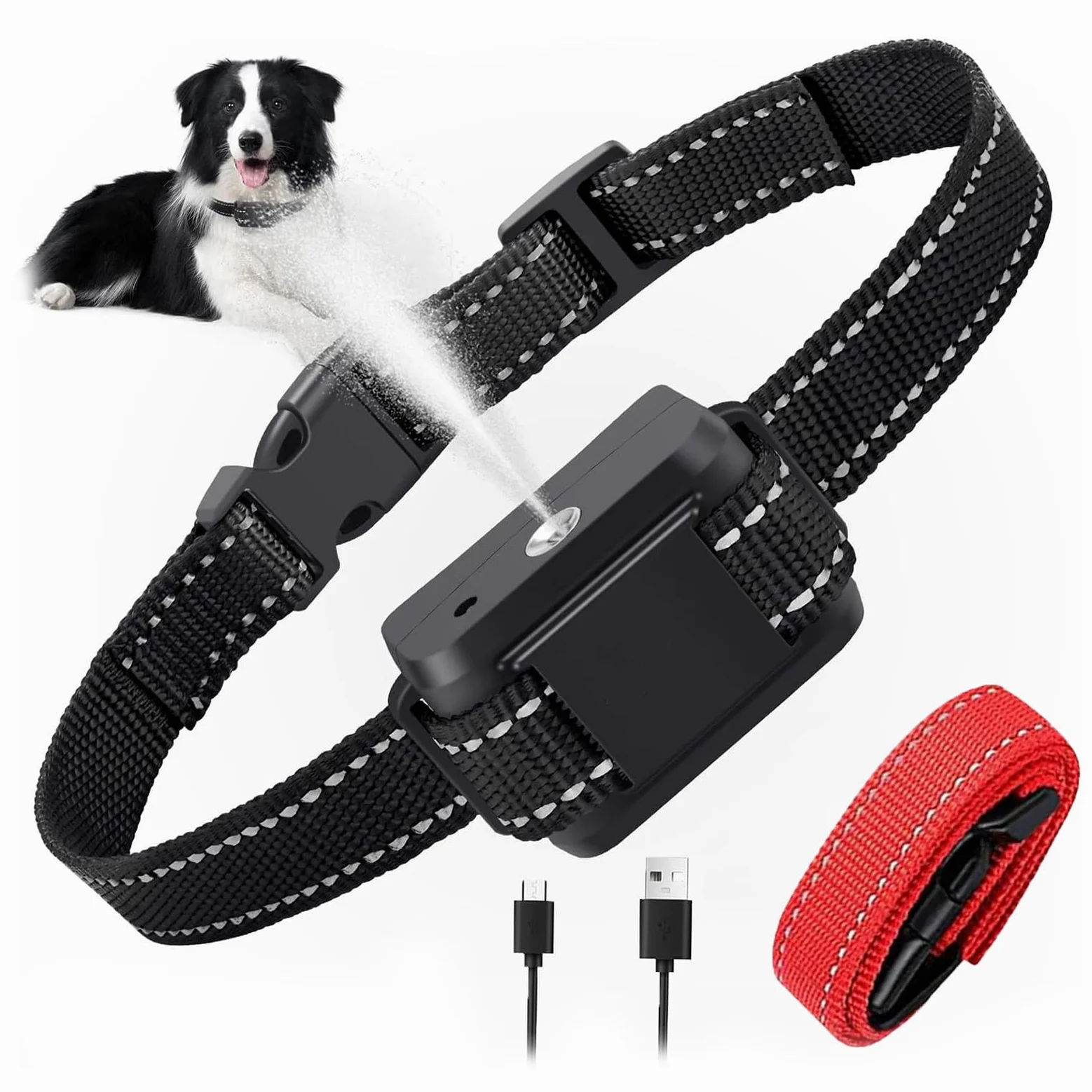 Collier lumineux pour chien (design à double sangle), luminosité réglable, collier pour chien rechargeable (noir)