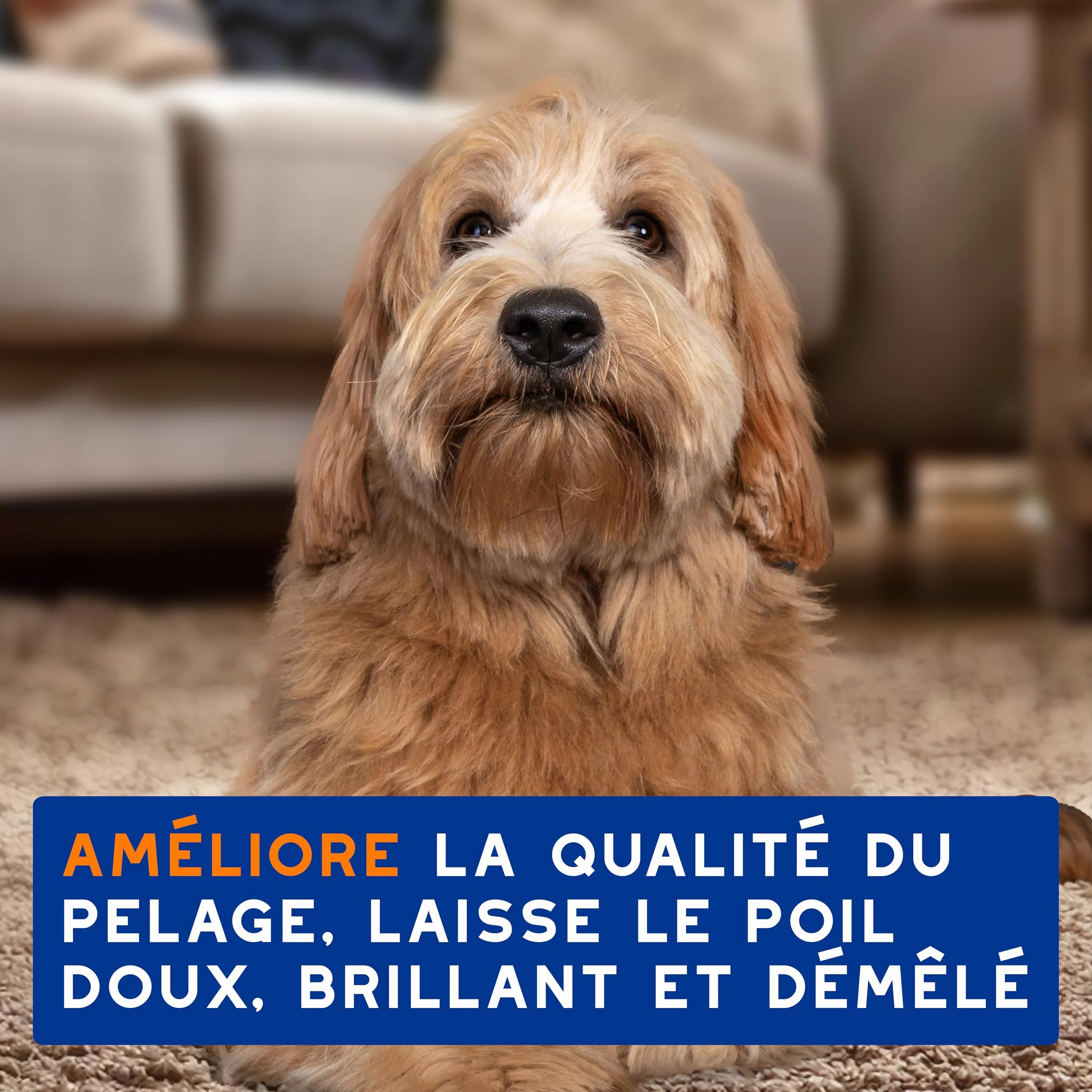 DOUXO Skin & Coat Spa - Ultra-Safe Shampoing 2 en 1 démêlant pour Chiens, 250 ML, nettoie et Hydrate en Profondeur la Peau et Le Poil, Laisse Le Pelage Doux, Soyeux et démêlé, respecte la Peau.