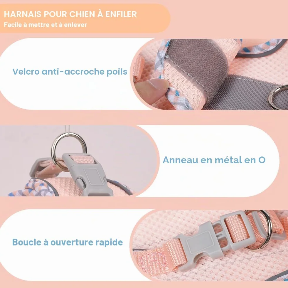 Harnais pour Chien Petite et Moyenne Taille, Harnais et Laisse pour Chiot, Maille Réfléchissante Respirable, Gilet Rembourré