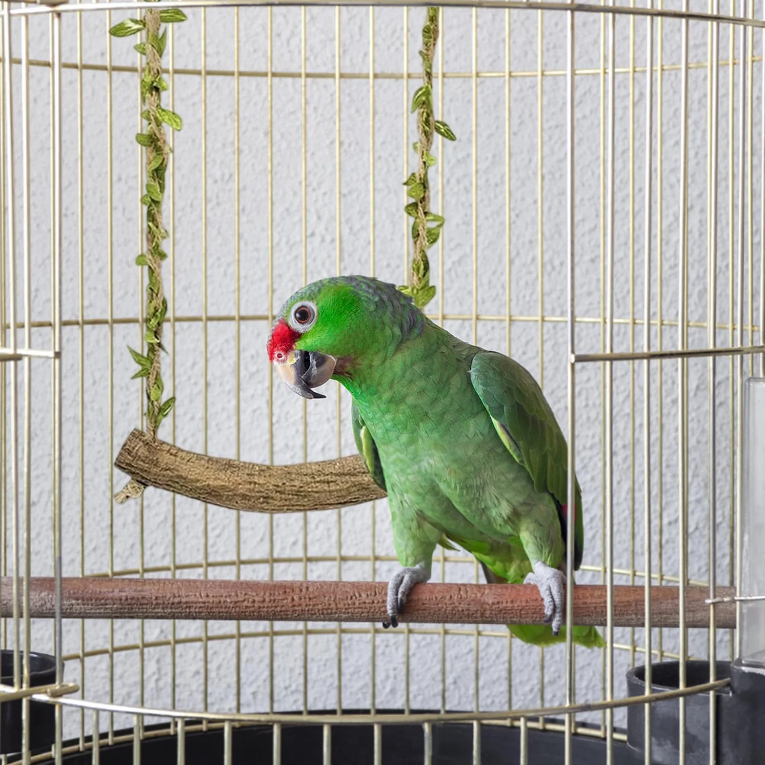 Perchoir Perroquet Balançoire Oiseaux Jouet Perruche Accessoires Cage Oiseaux Petite Moyenne Taille 2 Pièces