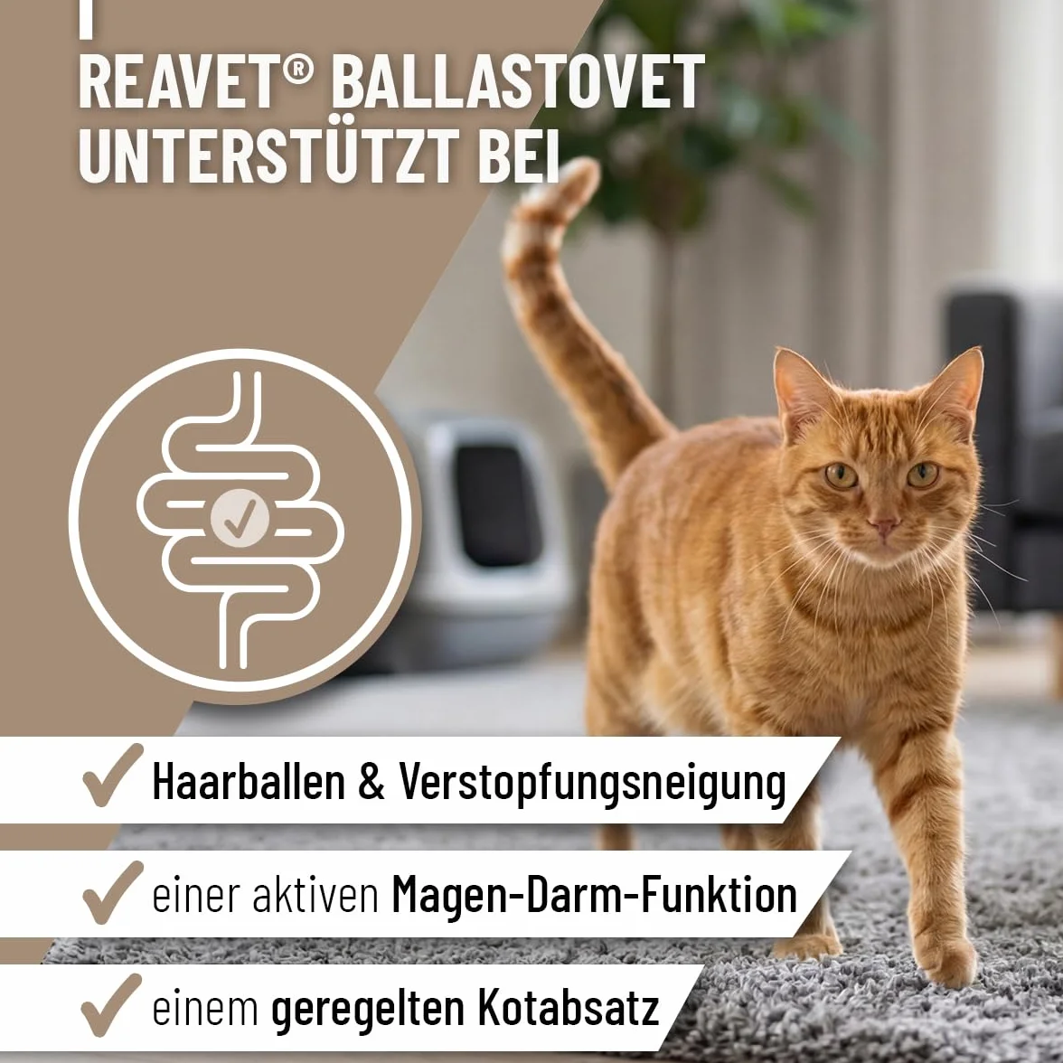 ReaVET BallastoVET pour chat 50 g – Soutien rapide constipation aiguë chronique matières fécales solides aide digestion