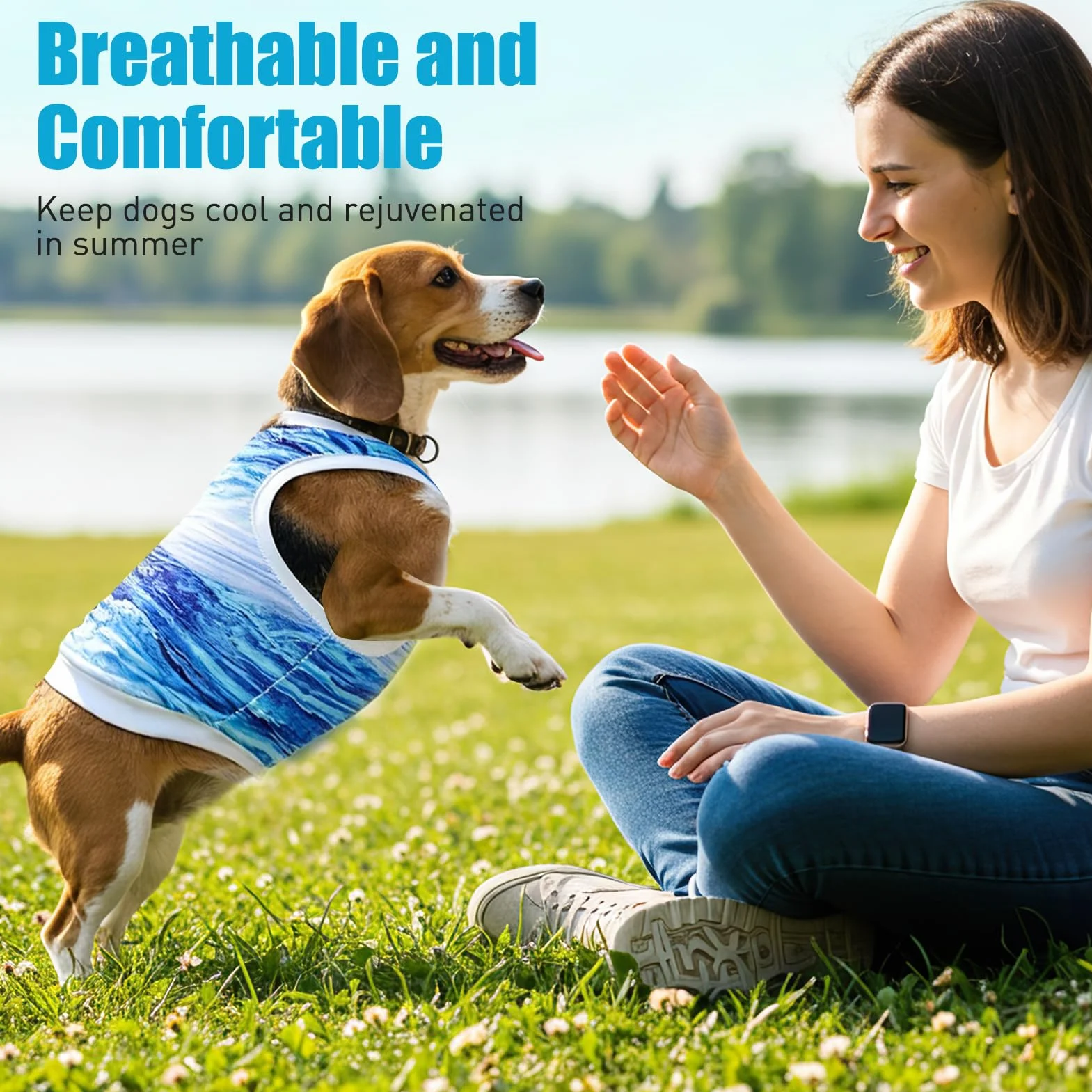 Gilet Rafraîchissant pour Chien Respirant Manteau Rafraichissant Chien Doux Confortable Gilet de Refroidissement pour Chiens Petite Moyenne Taille Bleu-M