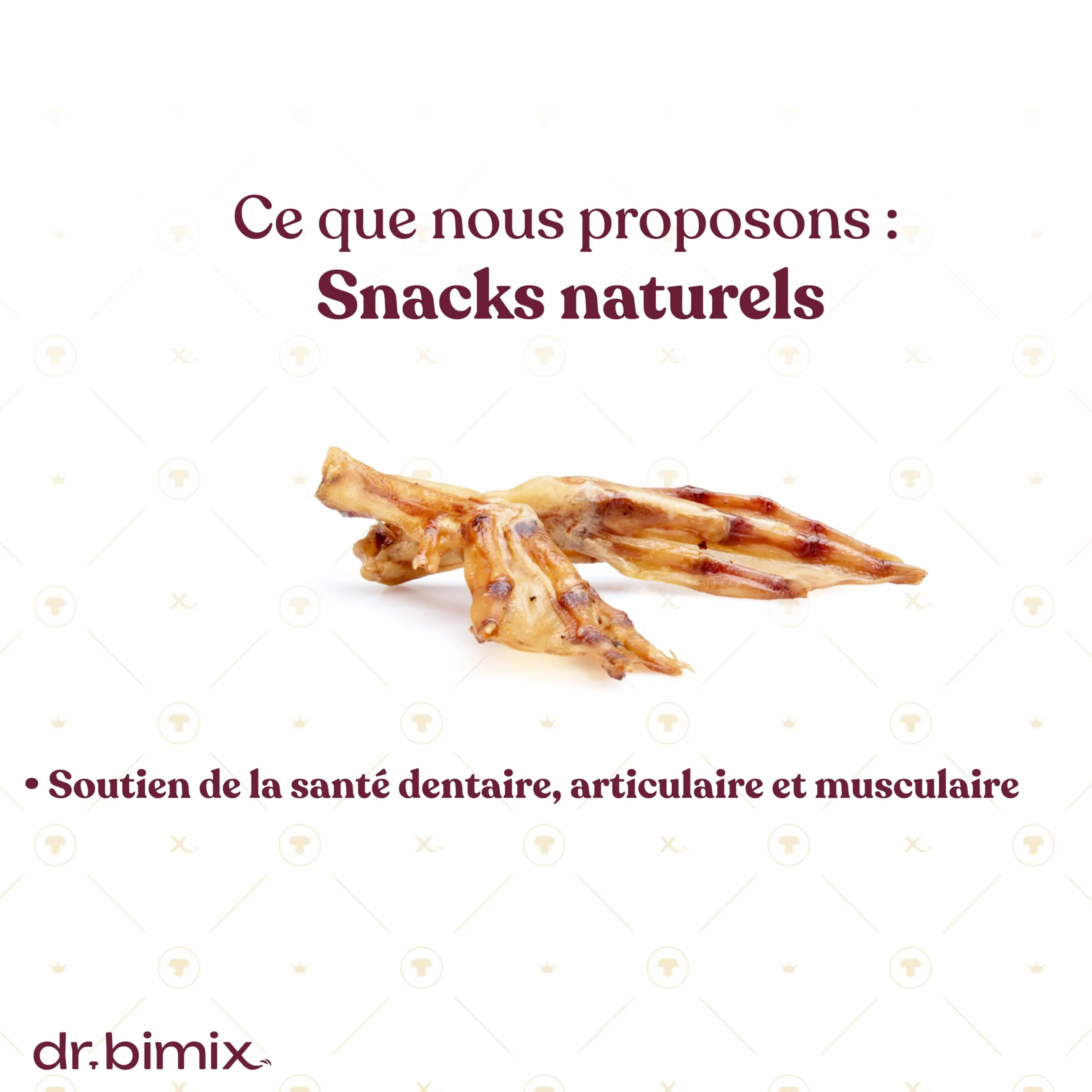 Pattes de Canard pour Chiens Friandises Naturelles Riches en protéines collagène 450 g