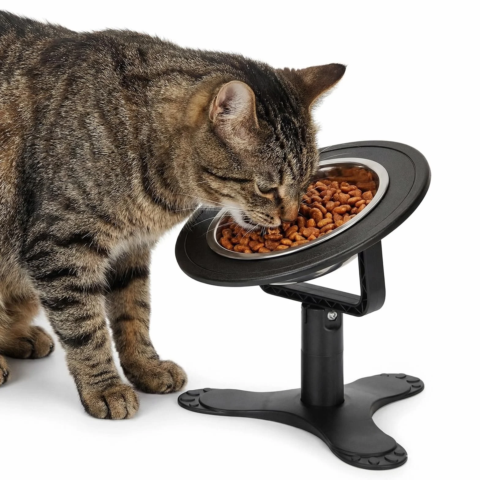 Support Gamelle Chat Surélevé 20.5x19.5x5cm Réglable 3 Hauteurs Ajustables Chien Chaton