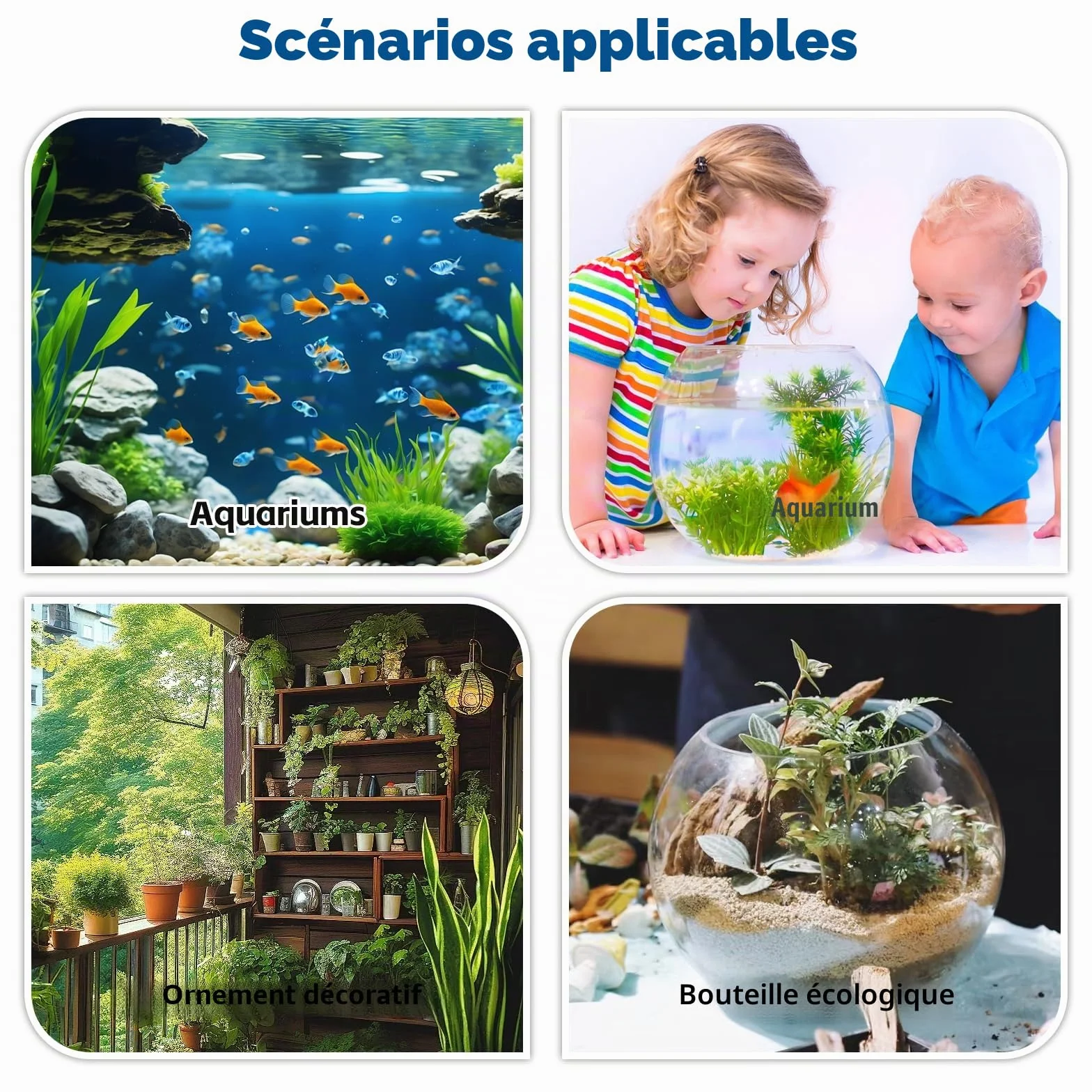 Décoration Aquarium Grain de Bois 3 Pièces, Cachette Sûre Non Toxique pour Crevettes Poissons Petite Moyenne Taille