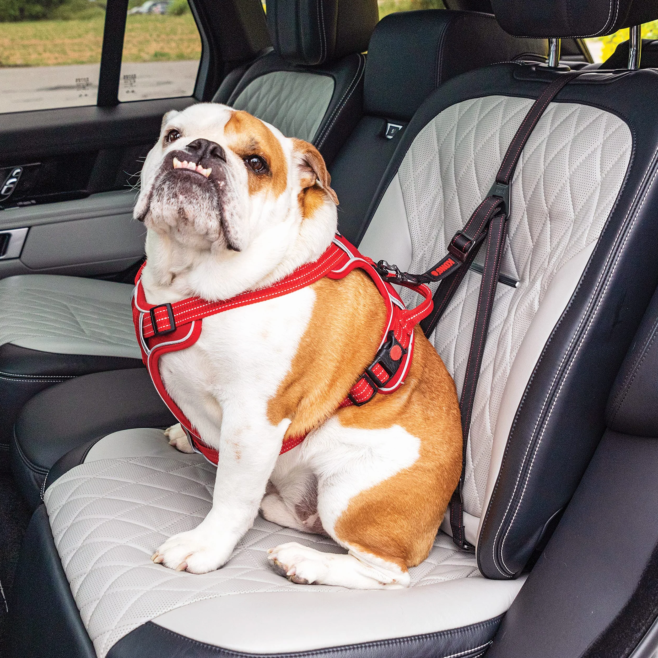Kong Attache de sécurité Ultime, Ceinture de Sécurité Voiture pour Chien