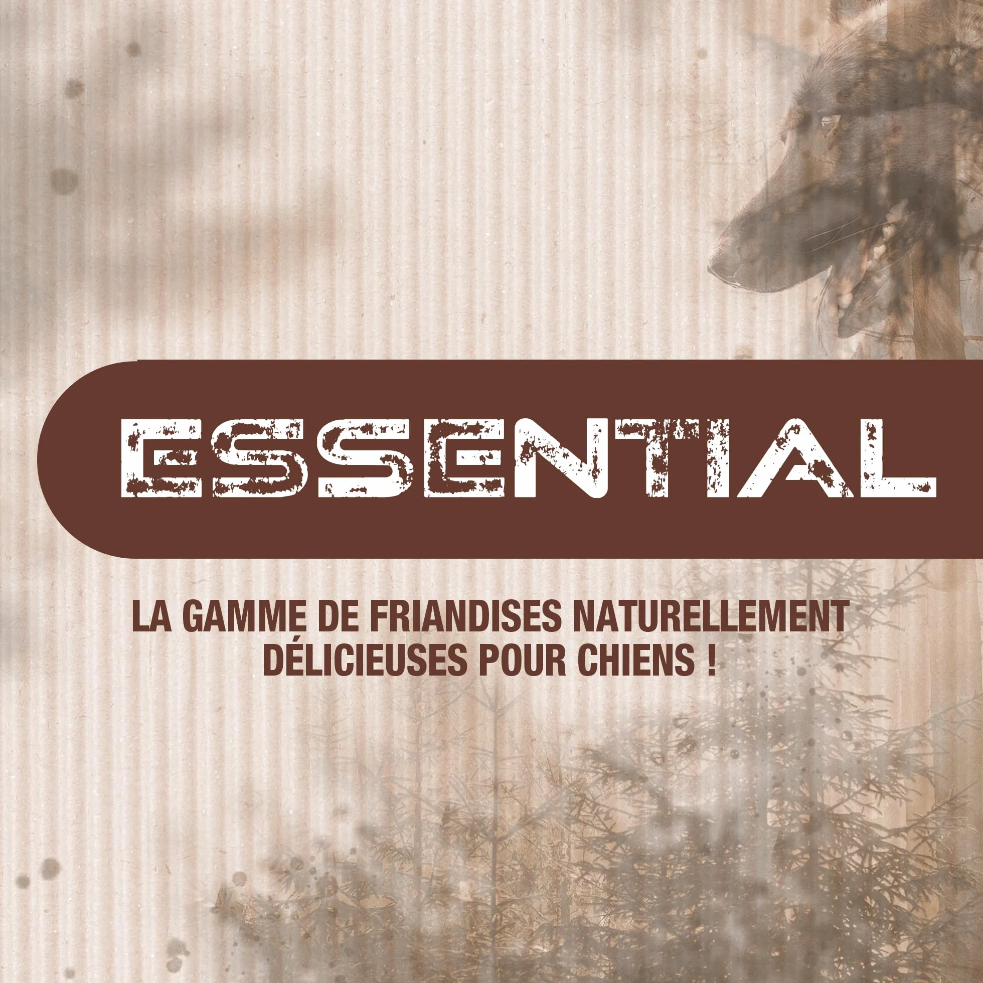 Riga Essential Poumons De Bœuf Séchés Friandises Chien 100% Naturel 100 g