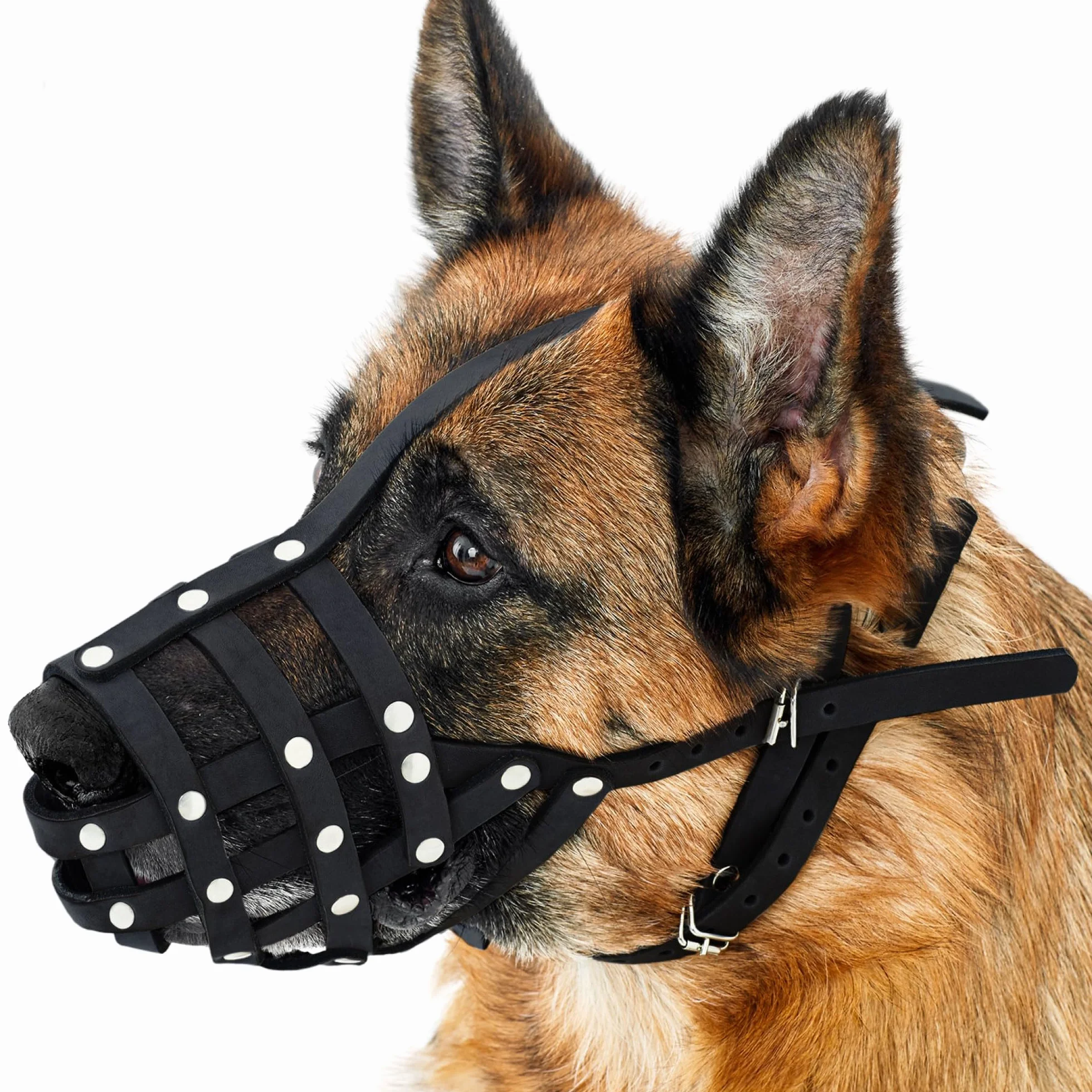 CollarDirect Muselière pour Chien Berger Allemand Dalmatien Doberman Setter Panier en Cuir Medium Large Breeds Black Brown (L, Black)