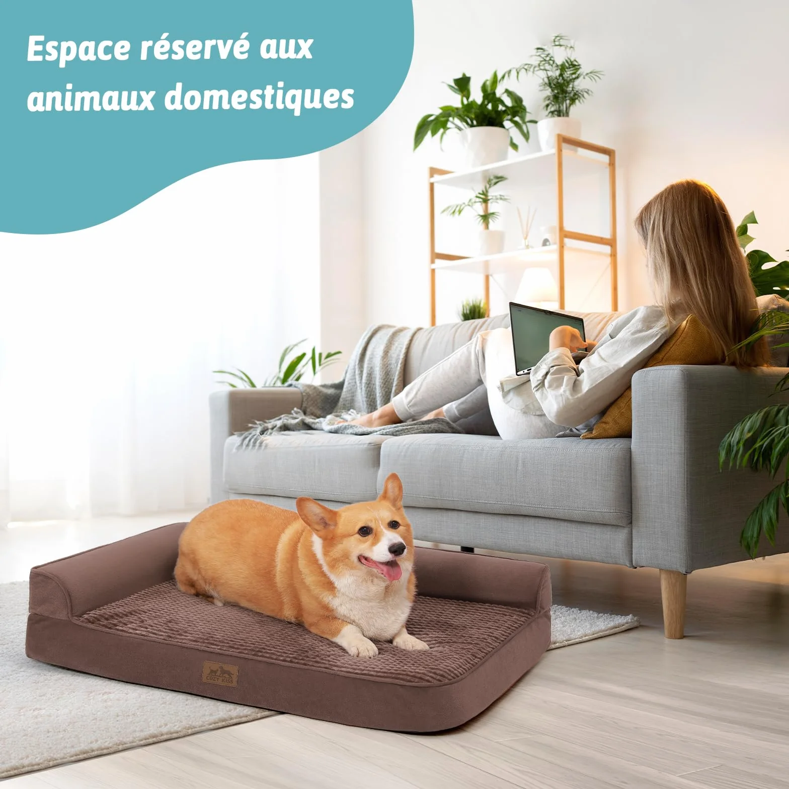 COZY KISS Canapé Chien Orthopedique Dehoussable Grande Taille L 107cm