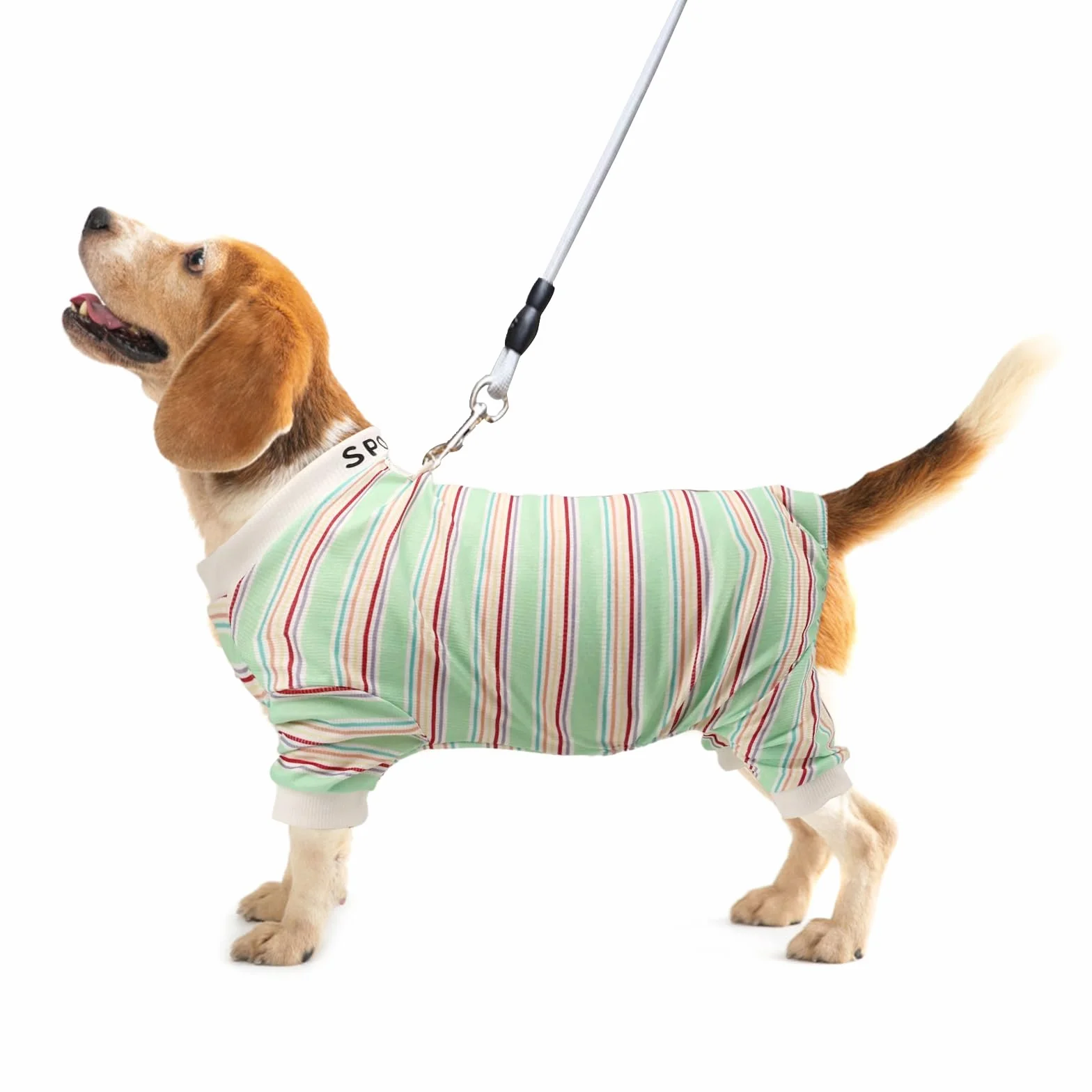 Pyjamas pour chiens et chats, Pull chaud avec laisse à anneau en D Vert XL