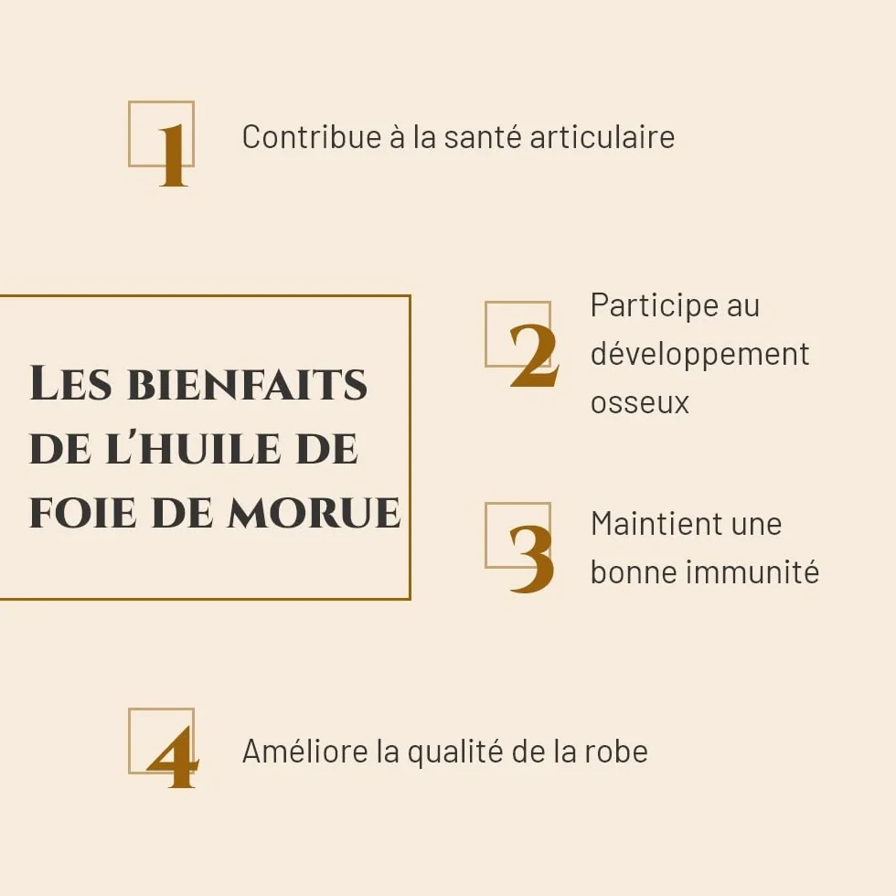 Huile DE Foie DE MORUE - Complément nutritionnel Cheval - Bidon 5 L - Articulations - Reprise d'état Cheval - Immunité - Source d'oméga 3 et vitamines A et D - Marque française