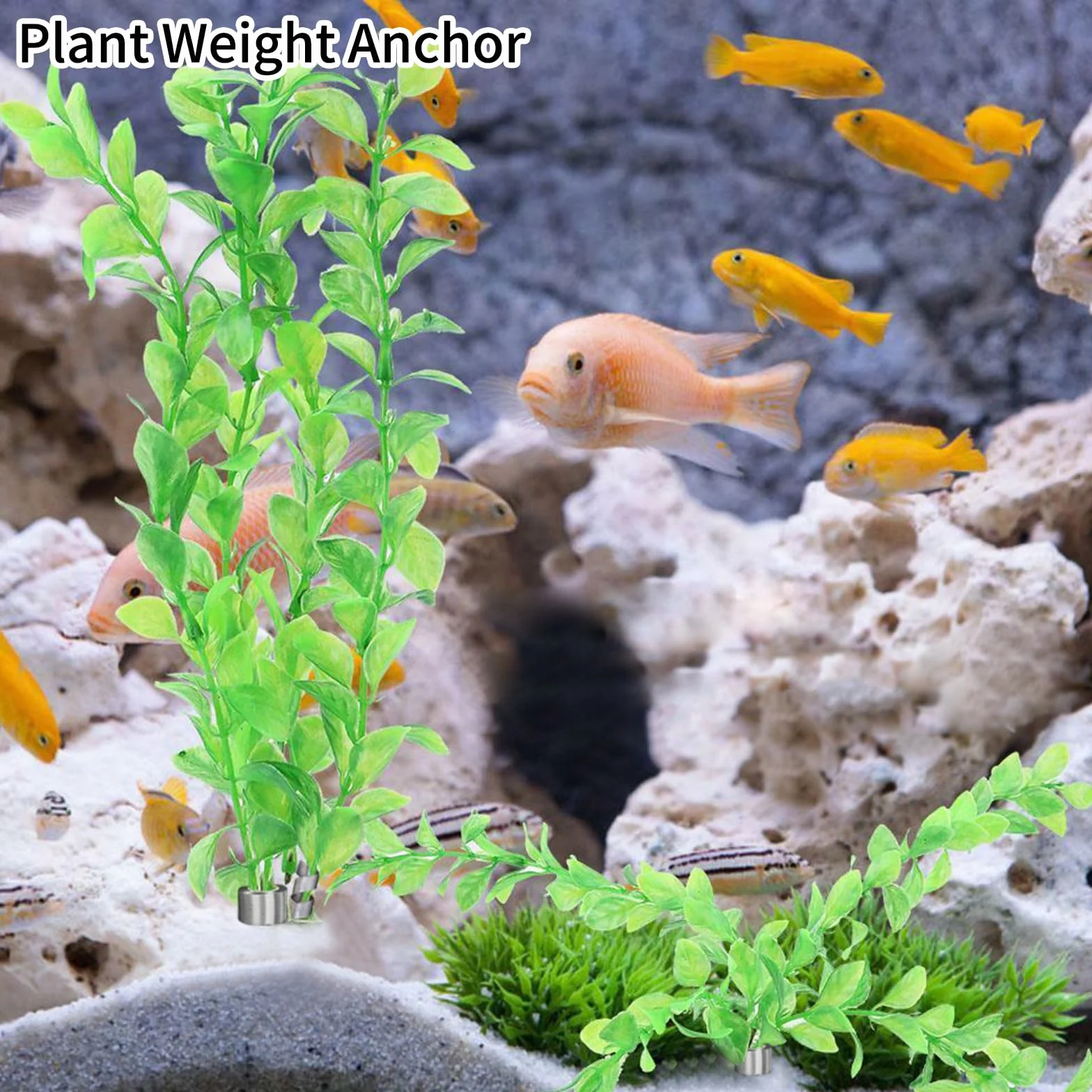 NEUSID Lot de 31 poids pour plantes d'aquarium en métal flexible 13 x 1,5 cm