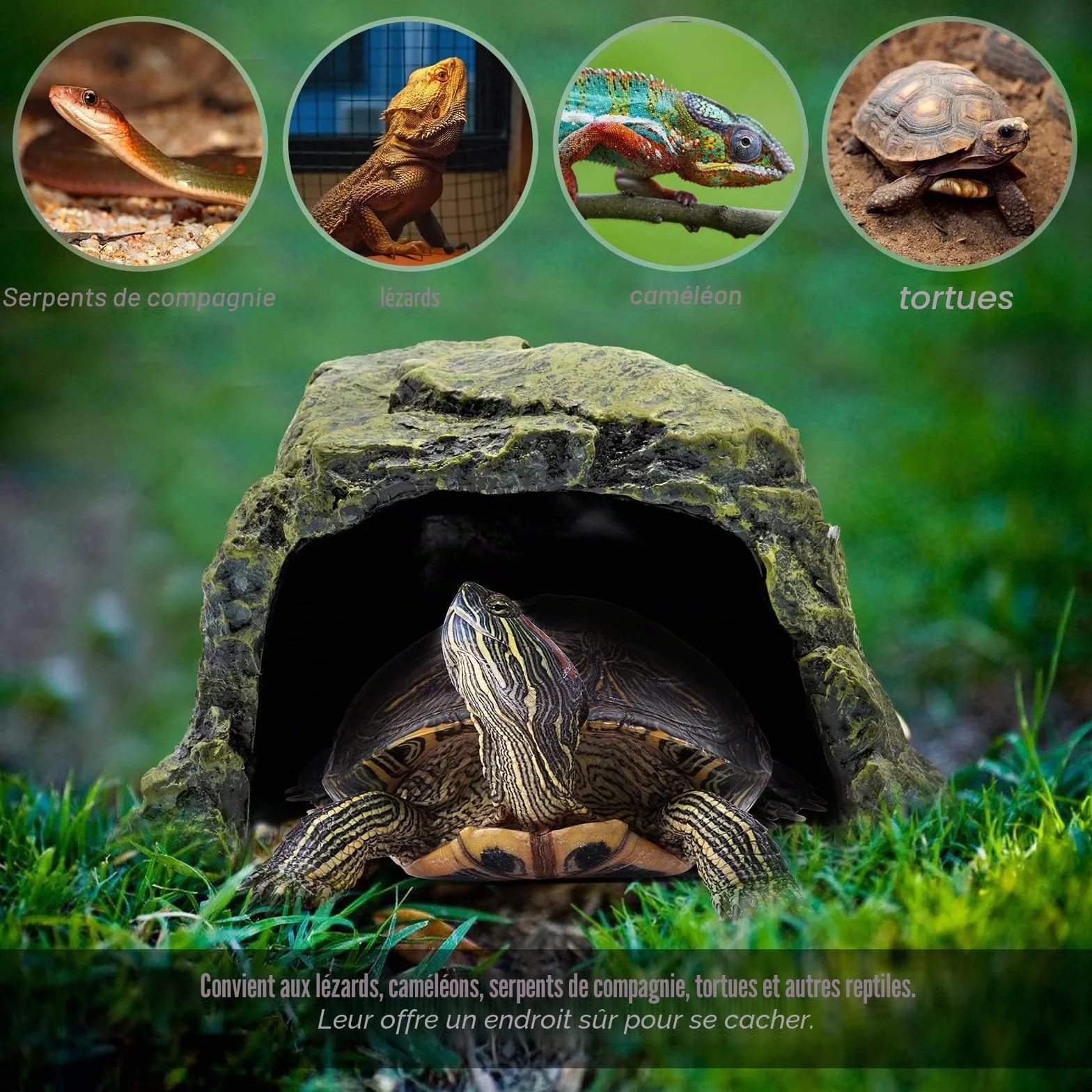 Grande Cachette Reptile Résine Abri Tortue Lézard Serpent Amphibiens Décoration Terrarium Aquarium