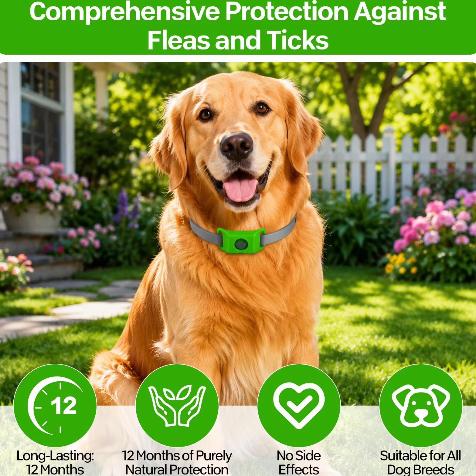 Collier Anti Puce et Tique Naturel pour Chien ZVD Pets, Répulsif Huiles Essentielles avec 2 Capsules Remplaçables, Compatible AirTag (Noir)