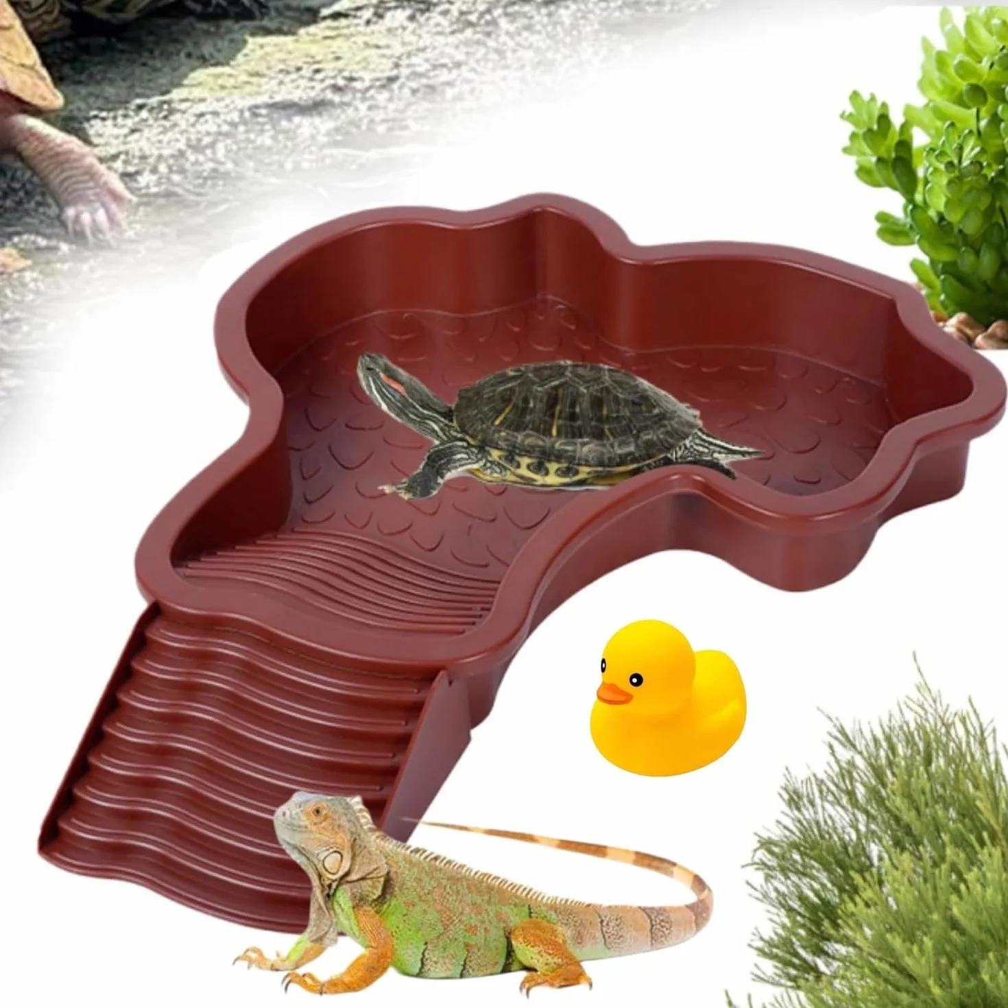 Piscine Tortue Terrestre Mangeoire Plat d'eau Bassin pour Tortue avec Rampe Bol d'eau pour Reptiles avec Échelle Abreuvoir pour Tortues Bassin pour Animaux pour Aquarium Rouge