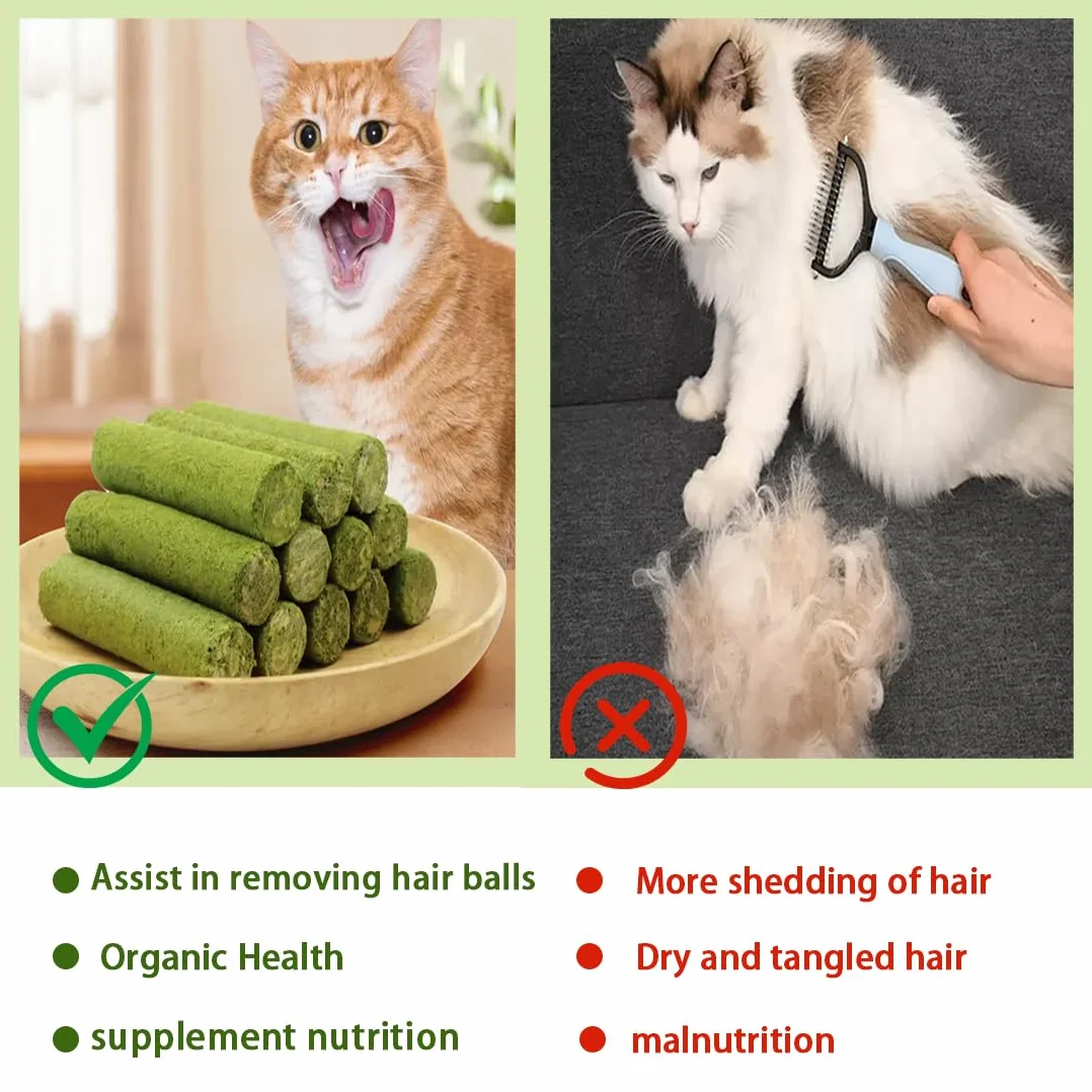 Collations pour Chats Herbe à Chat 50g Snack Lyophilisé Nettoyage des Dents