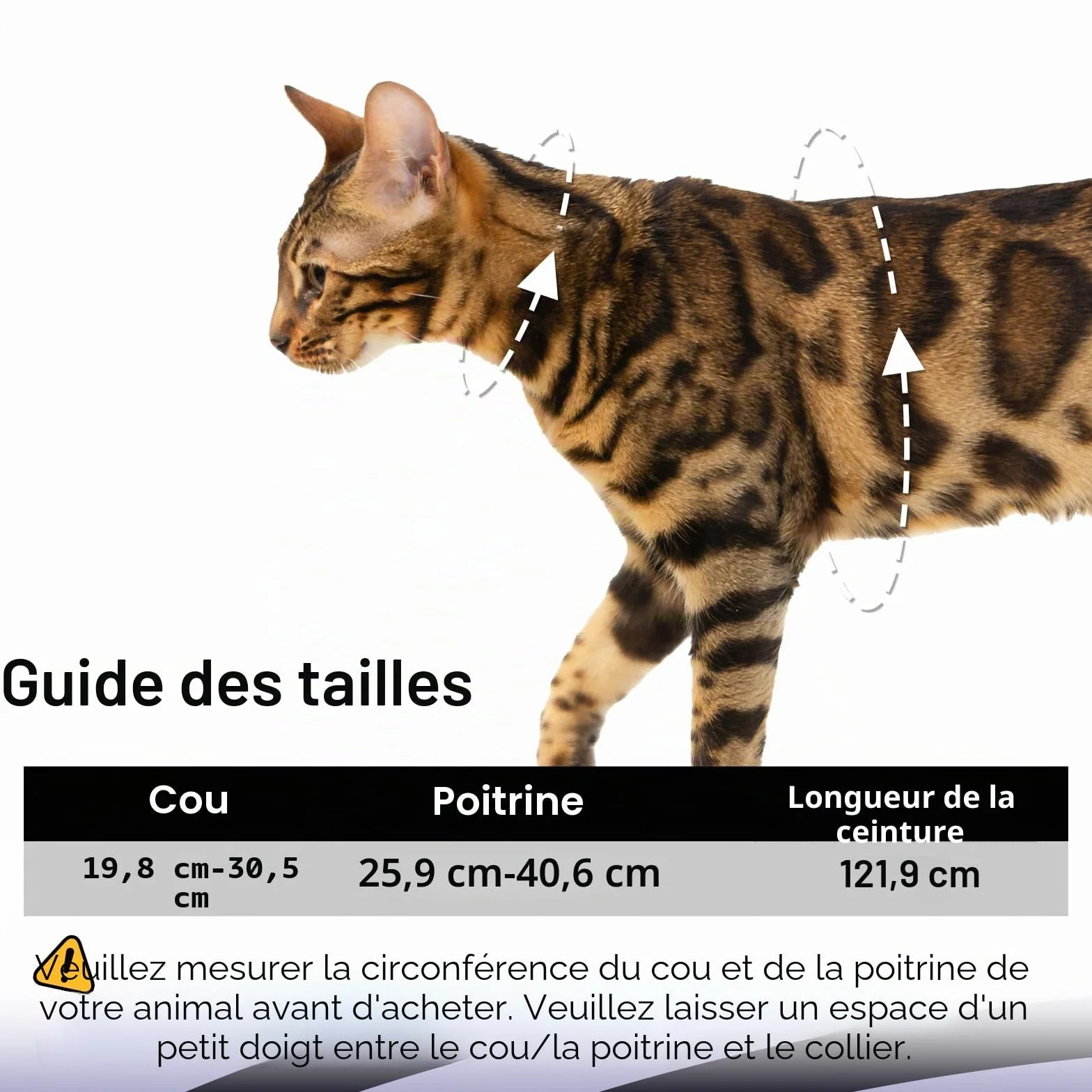 Harnais anti-fuite réglable pour chat - Ensemble de harnais et laisse doux et léger