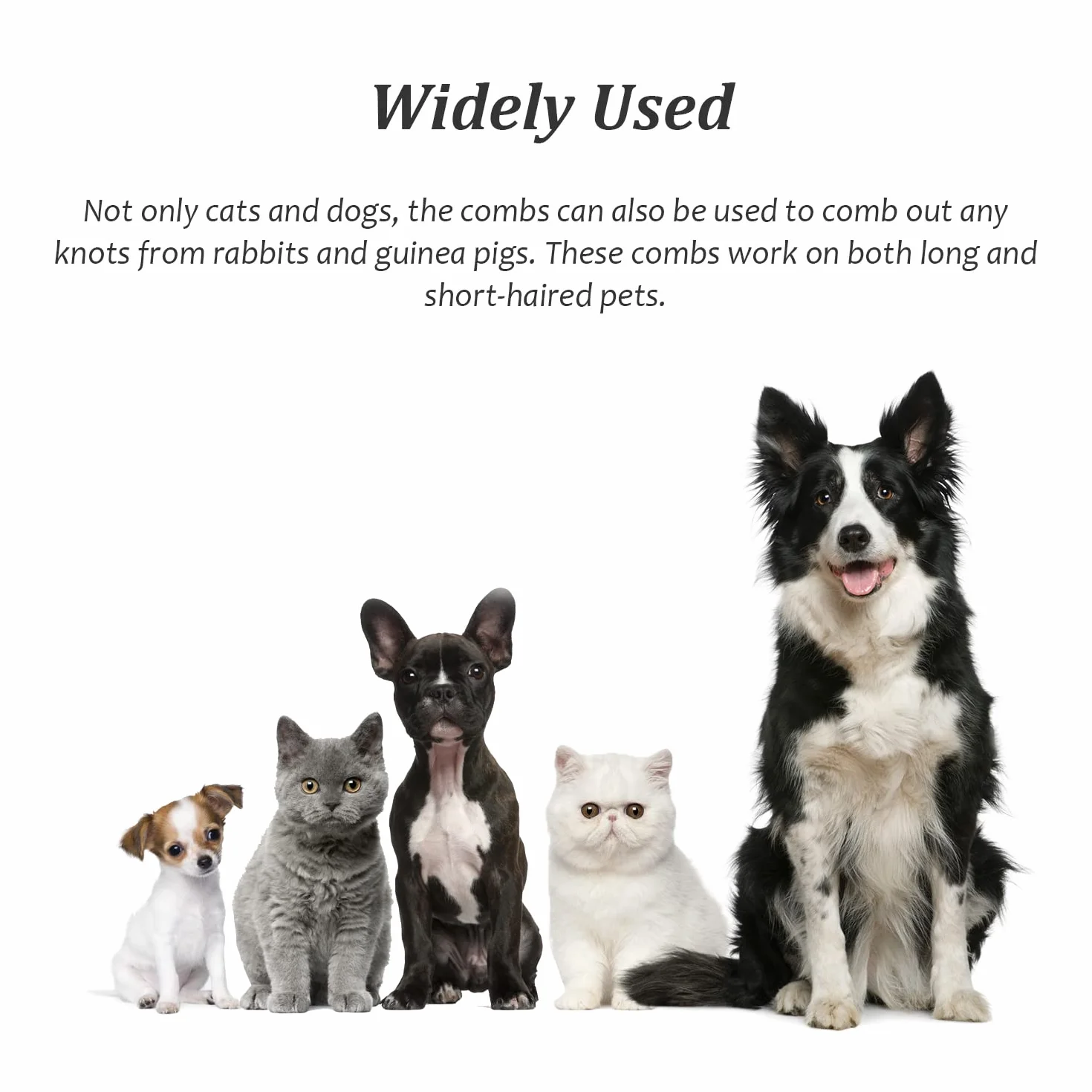 Peigne à Poux pour Chats et Chiens - Outil de Toilettage Anti Puces pour Nettoyer Tangles et Saleté - Bleu