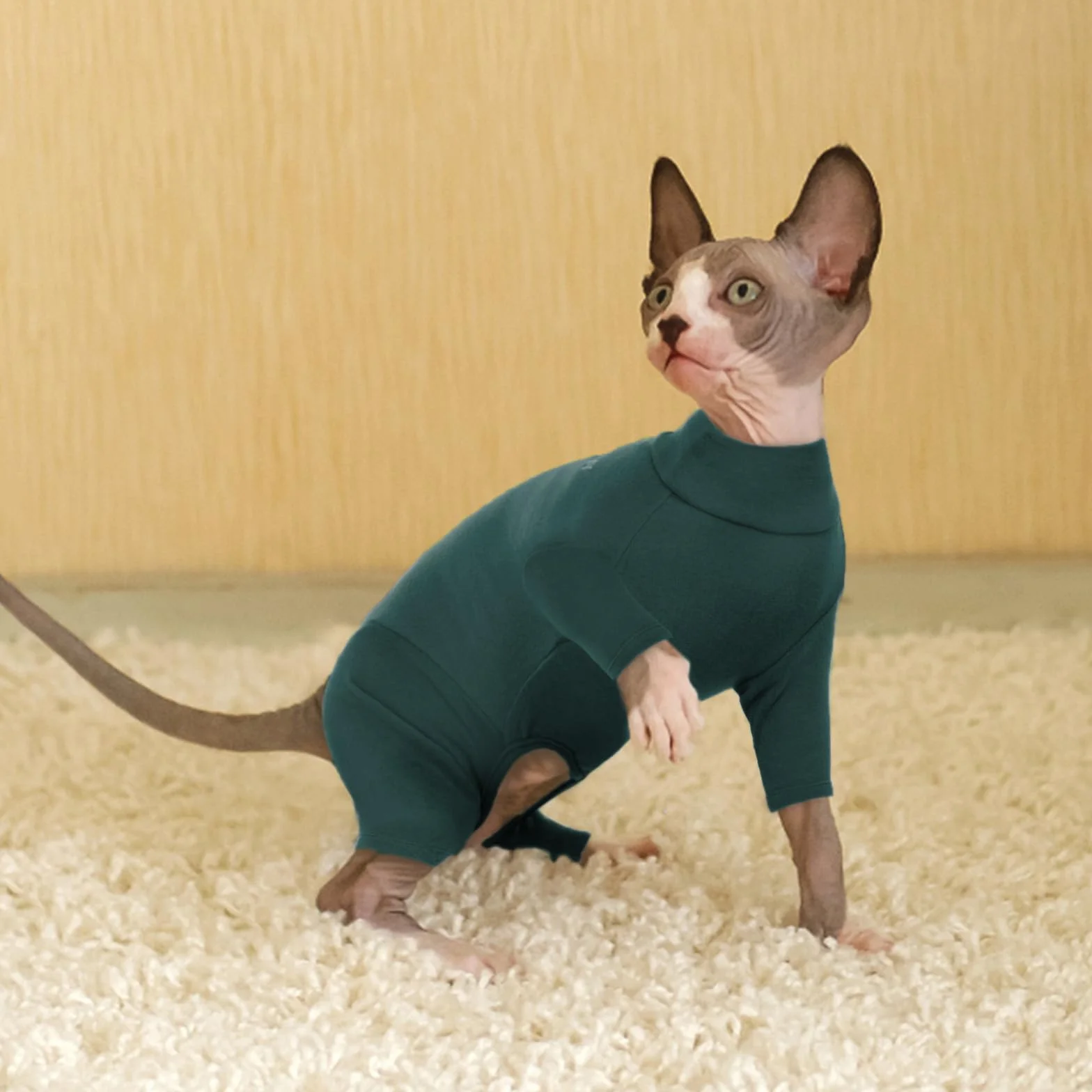 PUMYPOREITY Pull pour Chats Manteau Doux Chaud Sweat-Shirt d'hiver Vêtements Chandail Pyjama Chat Sweat Sphynx Vert Foncé XS