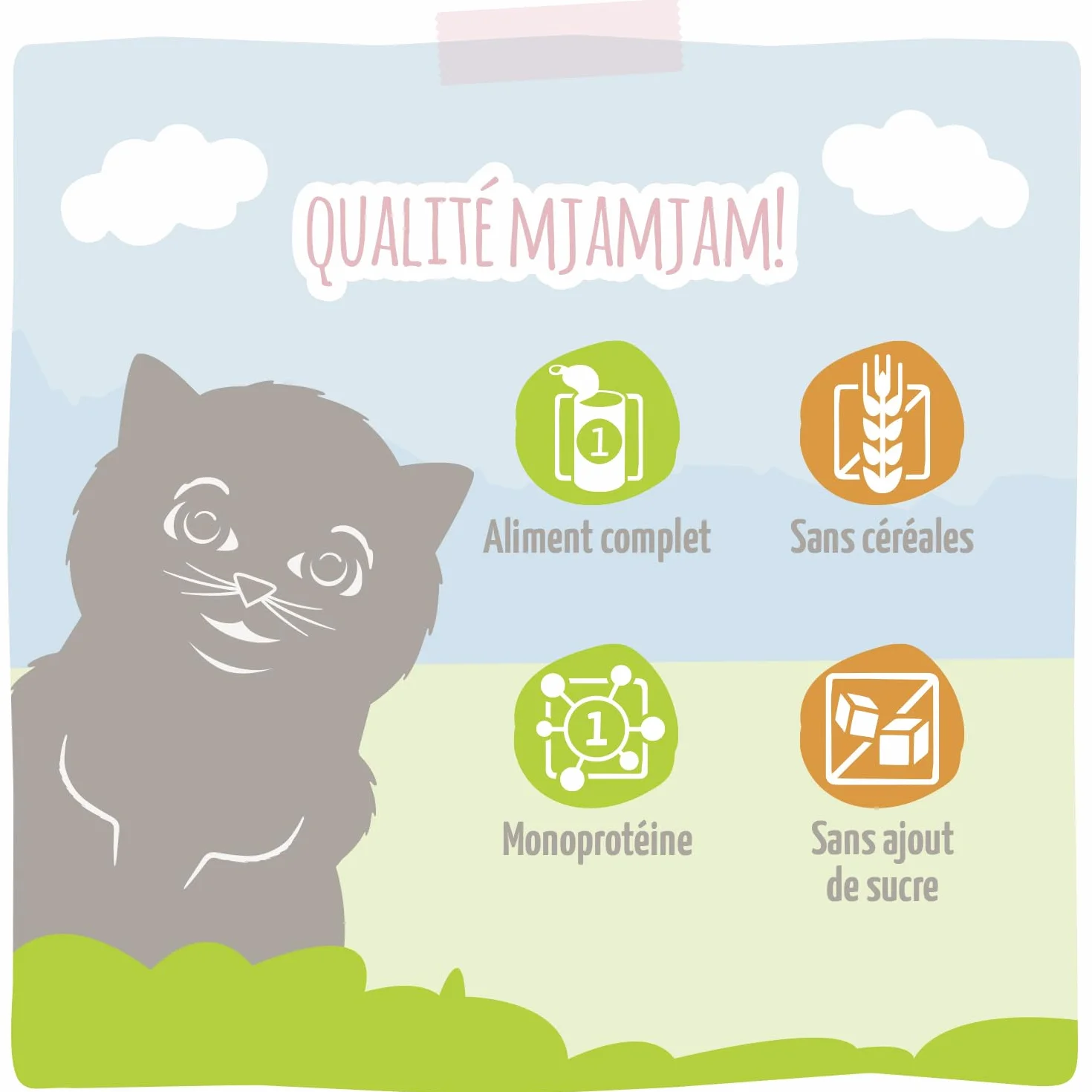 MjAMjAM nourriture humide chat poulet juteux chaton huile de saumon pack 6 x 400 g sans céréales
