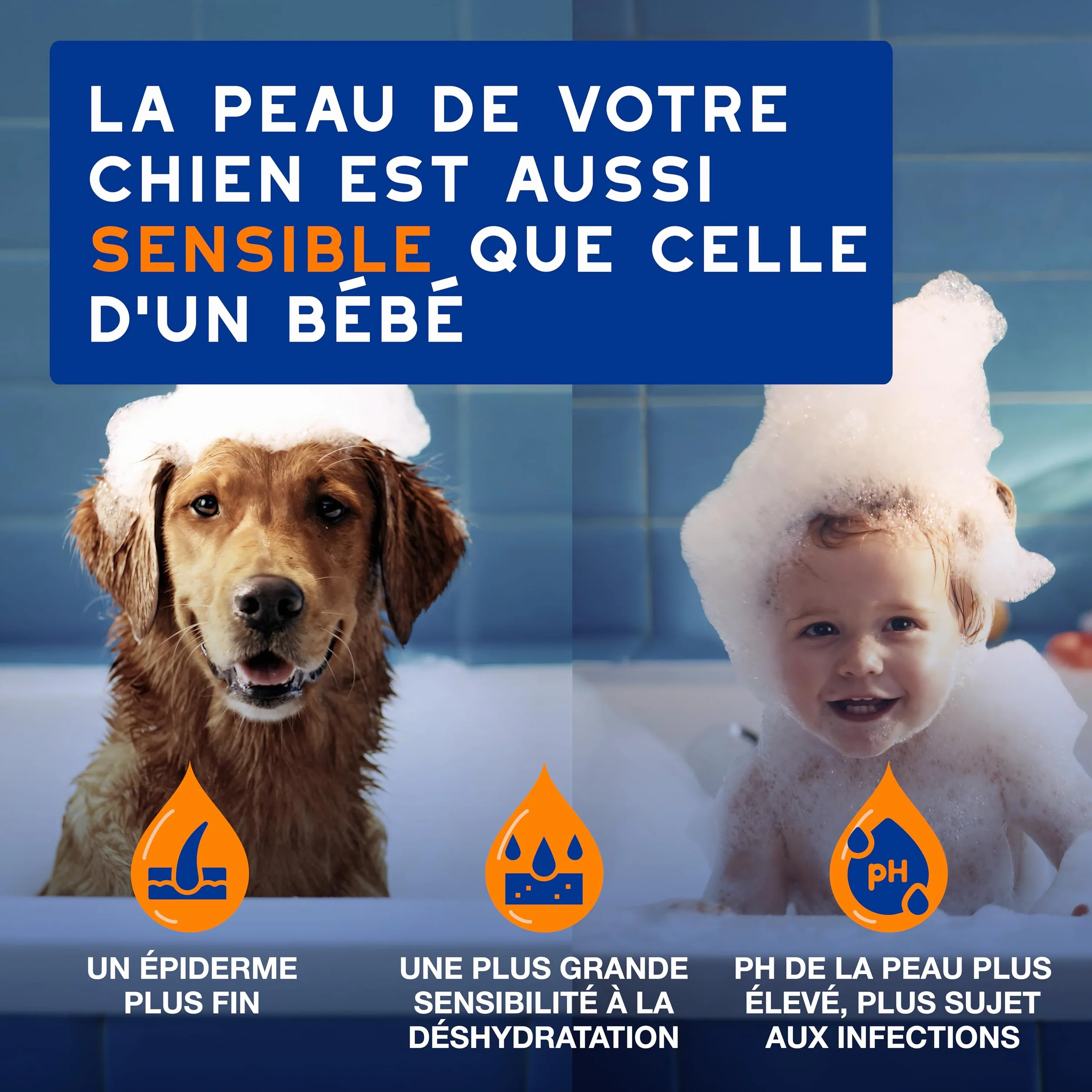 DOUXO Skin & Coat Spa - Ultra-Safe Shampoing 2 en 1 démêlant pour Chiens, 250 ML, nettoie et Hydrate en Profondeur la Peau et Le Poil, Laisse Le Pelage Doux, Soyeux et démêlé, respecte la Peau.