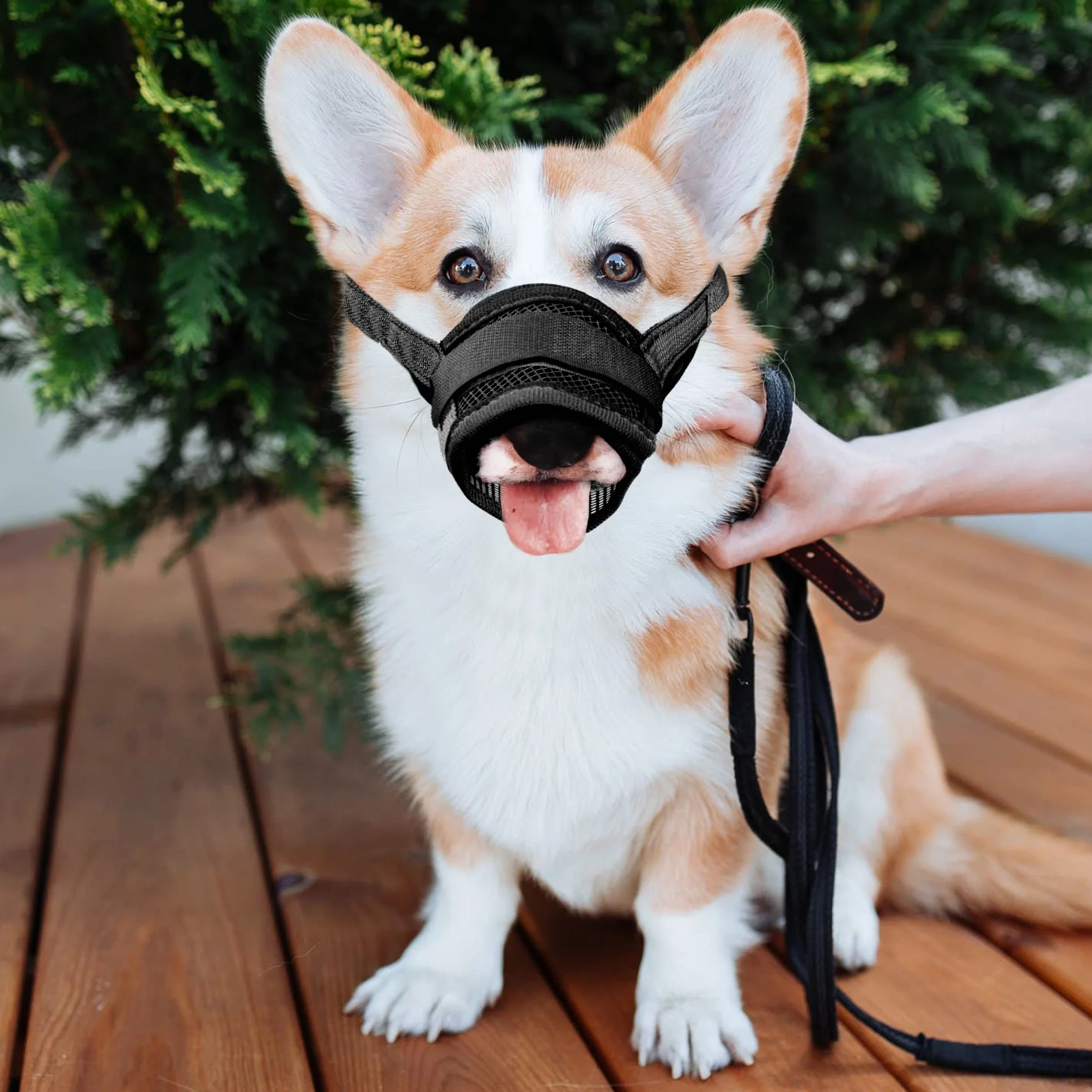 YAODHAOD Respirant Muselière en Nylon Réglable pour Chiens, Réglage Rapide de la Muselière, Museliere Anti-Aboiements et Anti-Morsures(L, Noir)