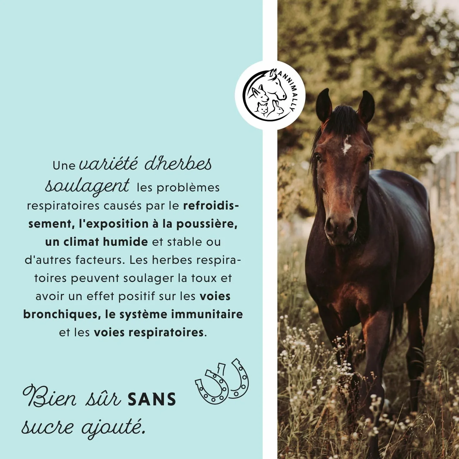 Annimally Sirop toux Cheval 1000ml - Sirop bronchial pour Chevaux Contre la toux et pour apaiser Les Voies respiratoires - Sirop pour la Gorge, Liquide à Base de mélange d'herbes Bronc