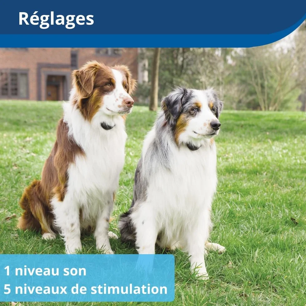 PetSafe Stay & Play Compact Wireless Pet Containment System with Rechargeable Collar, LCD Screen, up to 3000 m²
