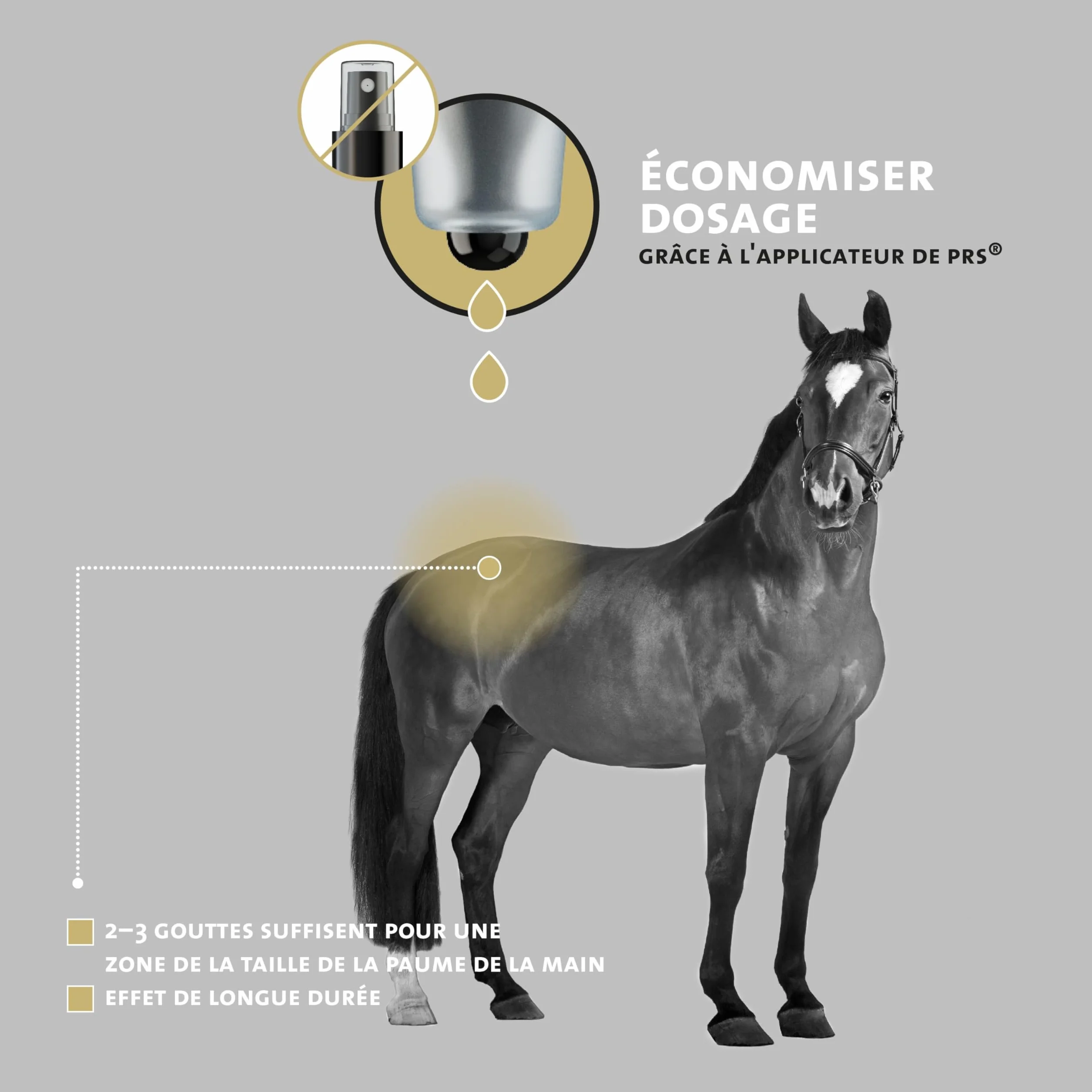 Peticare Soin Spécial pour Chevaux | pour eczéma Estival, dermatite et démangeaisons | Favorise la régénération de la Peau avec Le système PRS® à libération prolongée – petHorse Health 2000