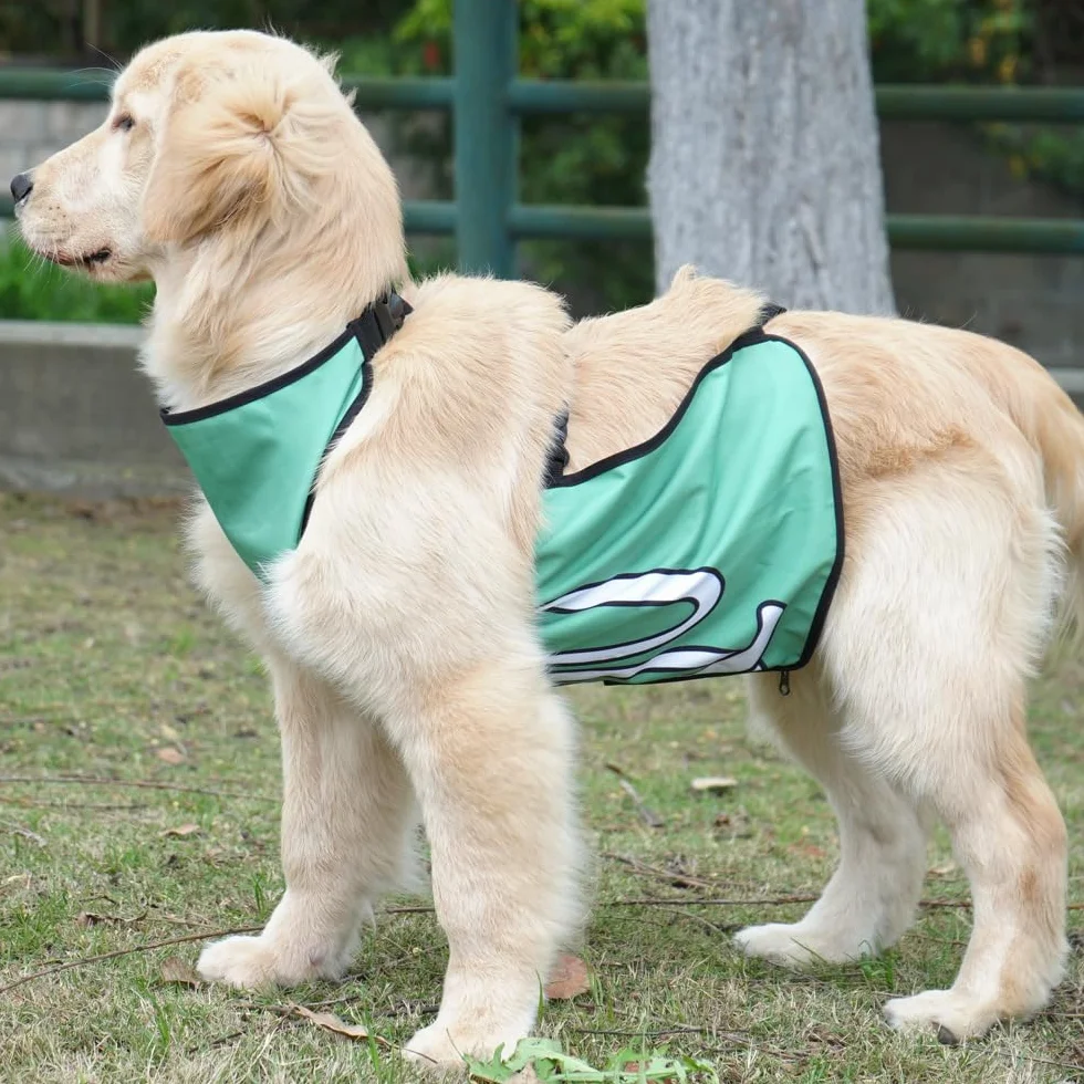 Protection ventrale imperméable avec boucles pour chien de petite, moyenne et grande taille (vert, taille M)