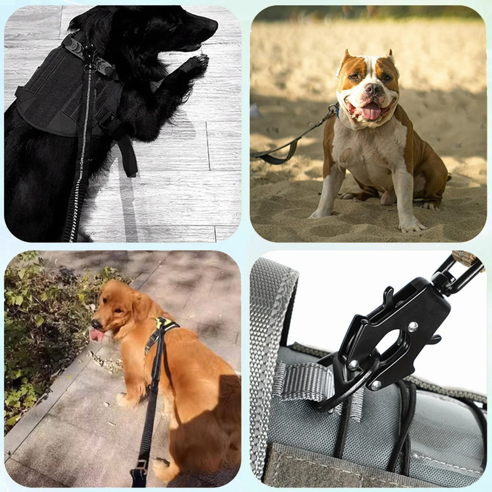 Connecteur de laisse pour animaux de compagnie – rotatif pour chien, clip à boucle en métal, crochet à libération rapide | Formation marche, marche, aventure en plein air, matériel de