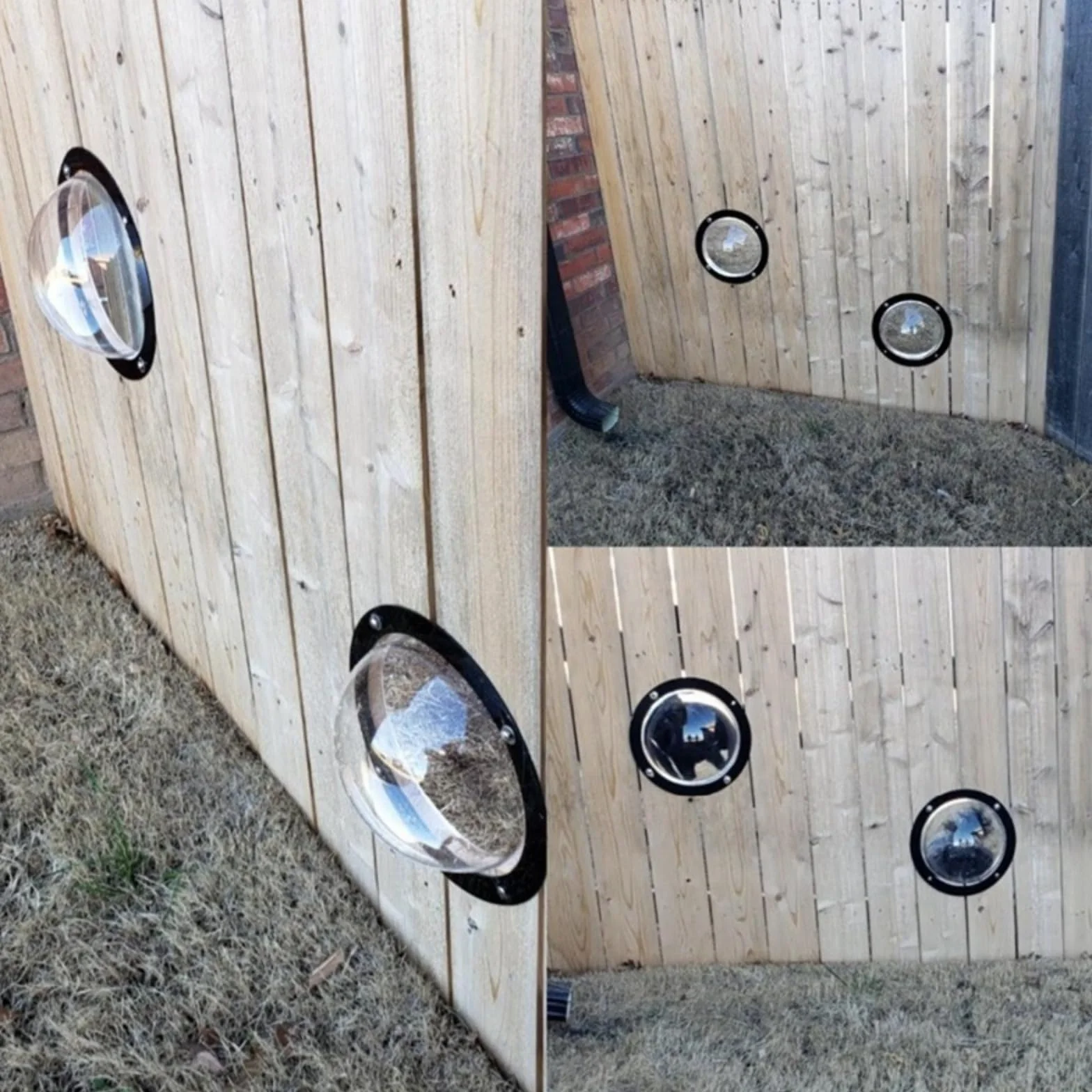 Hublot pour chien acrylique fenêtre dôme clôture jardin vue dégagée aboiement réduit