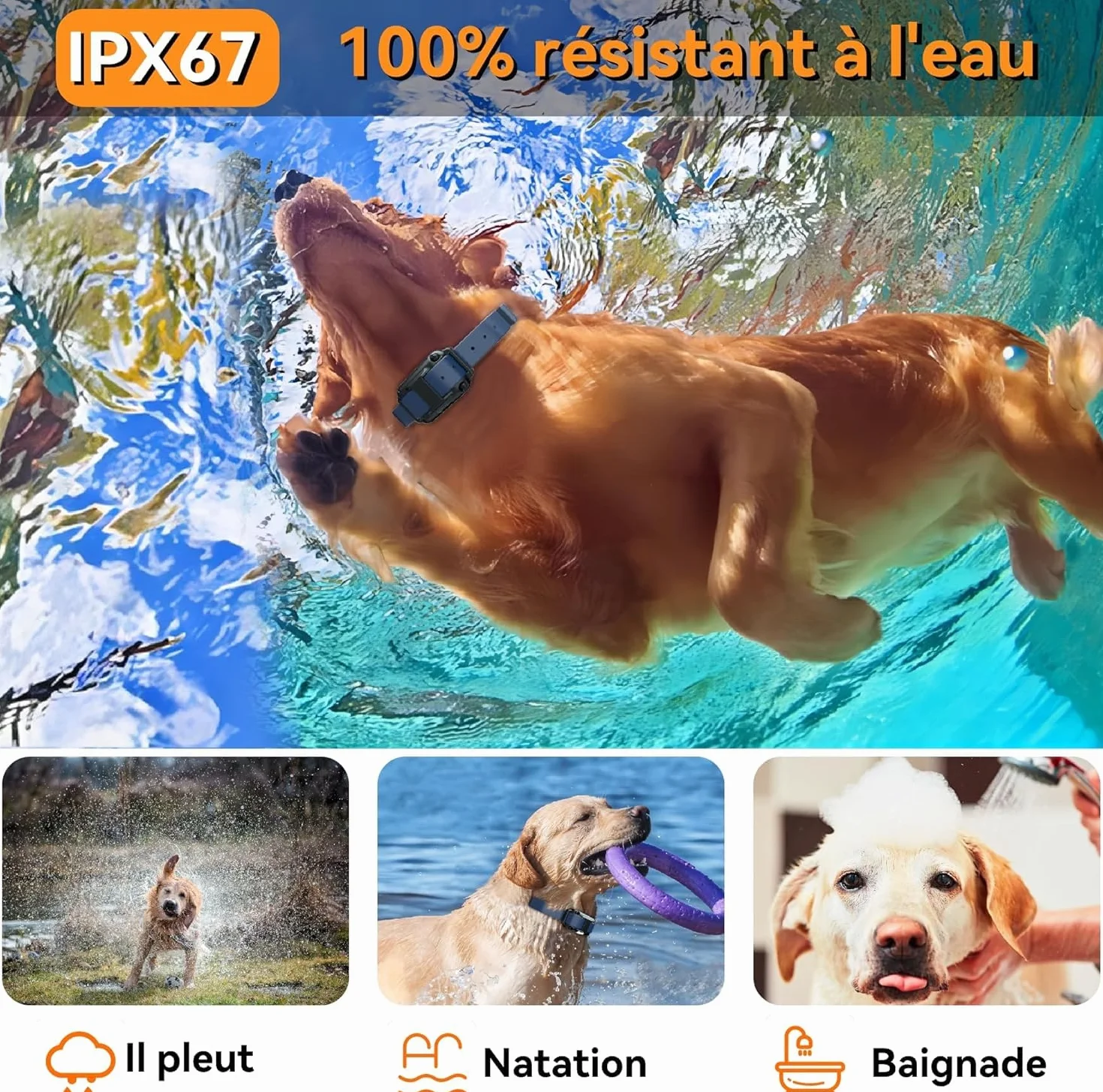 Collier de Dressage pour Chien, Rechargeable Collier Electrique pour Chien, Collier Dressage Chien avec Mode Vibration, Son, Choc Statique et Lumière, IPX67 étanche, Adapté à Tous Les Chiens