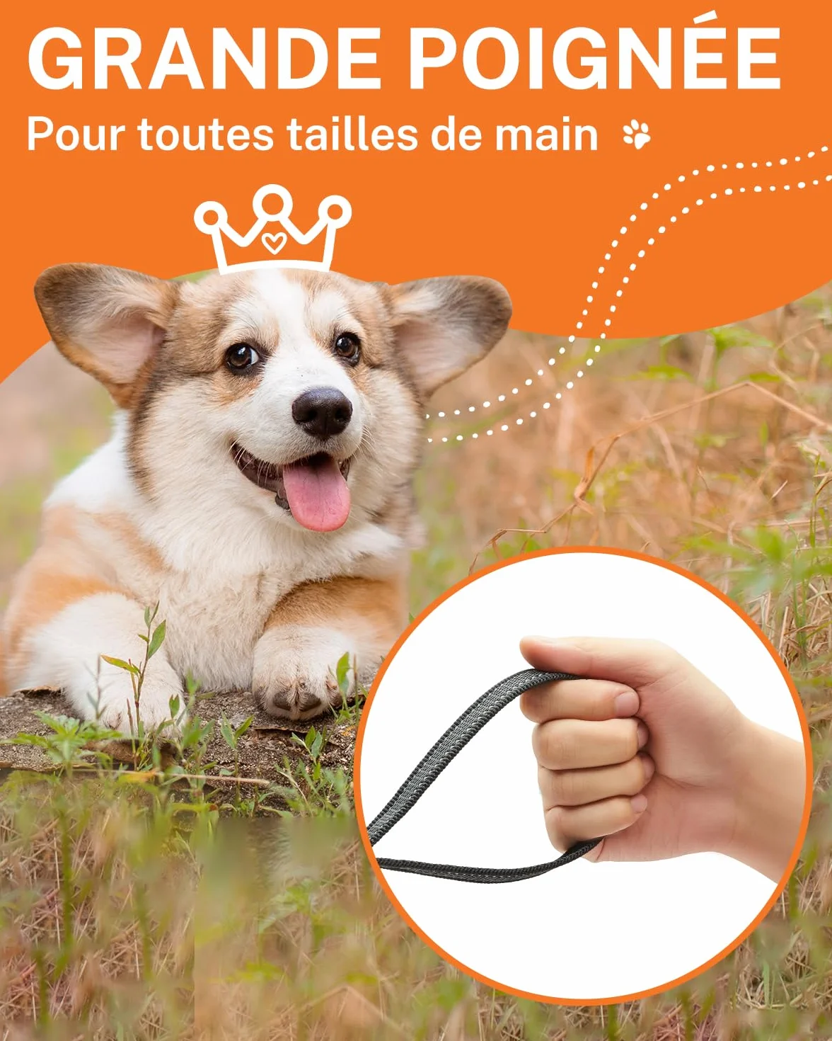 Toozey Lungo Guinzaglio per Cani Piccoli e Medi 5m 10m Nylon Morbido Resistente Antiscivolo Riflettenti 10m x 2,0cm