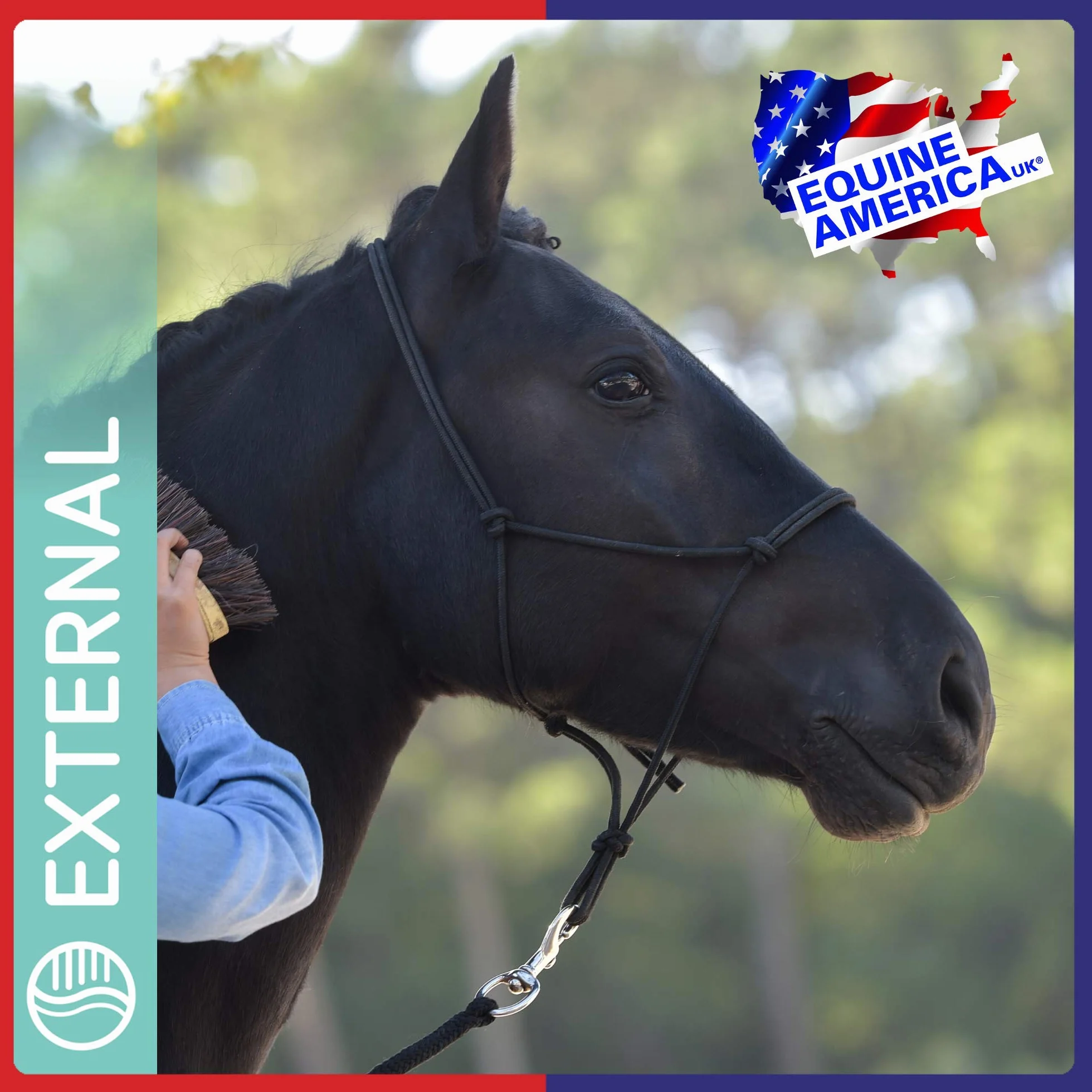 Gel rafraîchissant à la Glace Verte Equine America 1,5 L Soins de la Peau pour Chevaux