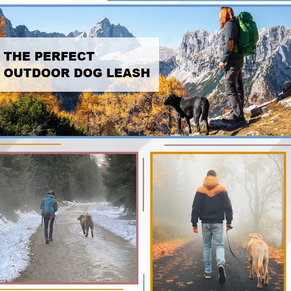 Laisse de Dressage et Longe Imperméable pour Extérieur