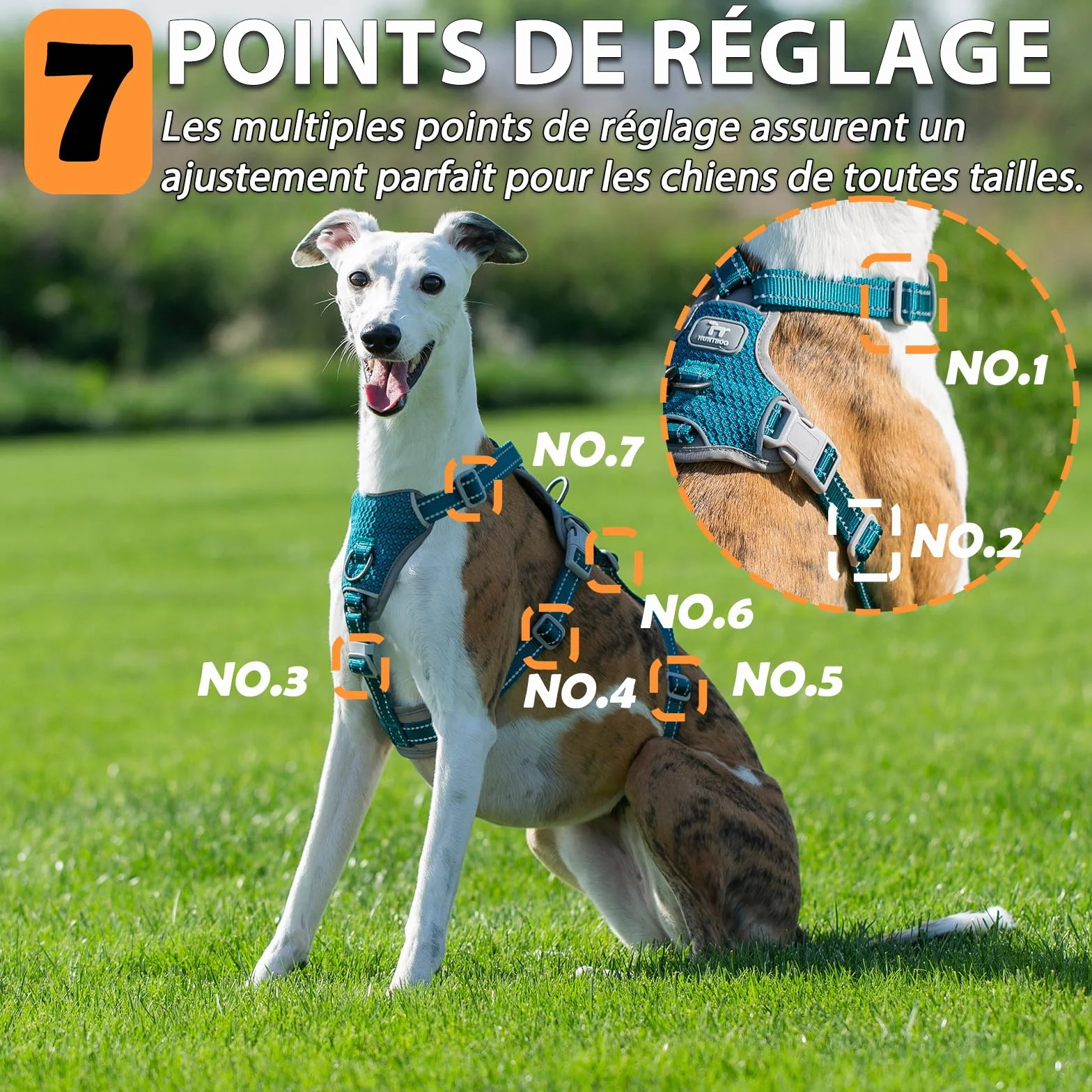 Huntboo Harnais Anti-Fugue pour Chien, Réfléchissant Anti-Traction, Durable Réglable Respirant, Bleu S