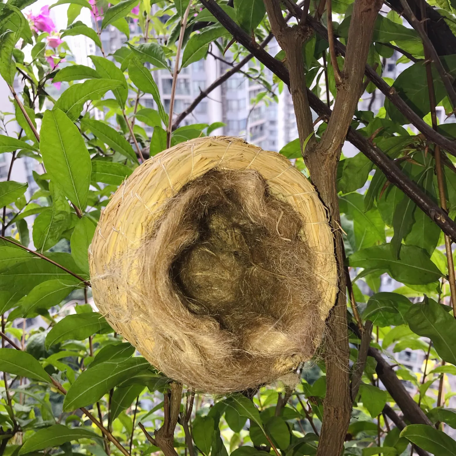 Nid Perruche Canaris en Jute Soie Paille Coton pour Petits Oiseaux Animaux Perroquets Pinsons